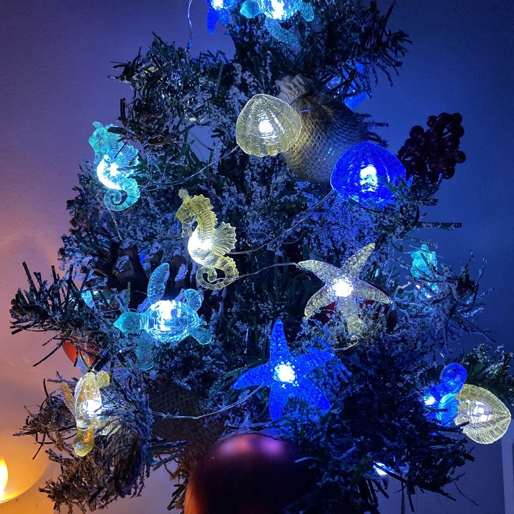 Afoxsos LAF0525F063 Patio-String-Lights - View #6