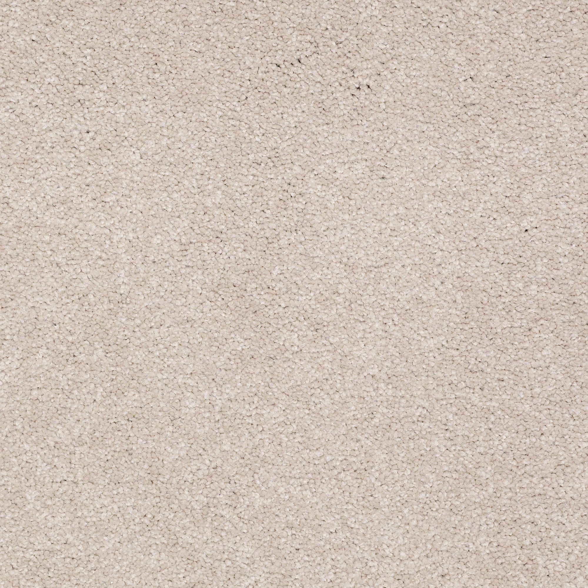 STAINMASTER PetProtect 7L89000104 Sweet Spot I 15-Ft Fox Trot Off-white 48.8-oz sq yard Nylon Textured Indoor Carpet