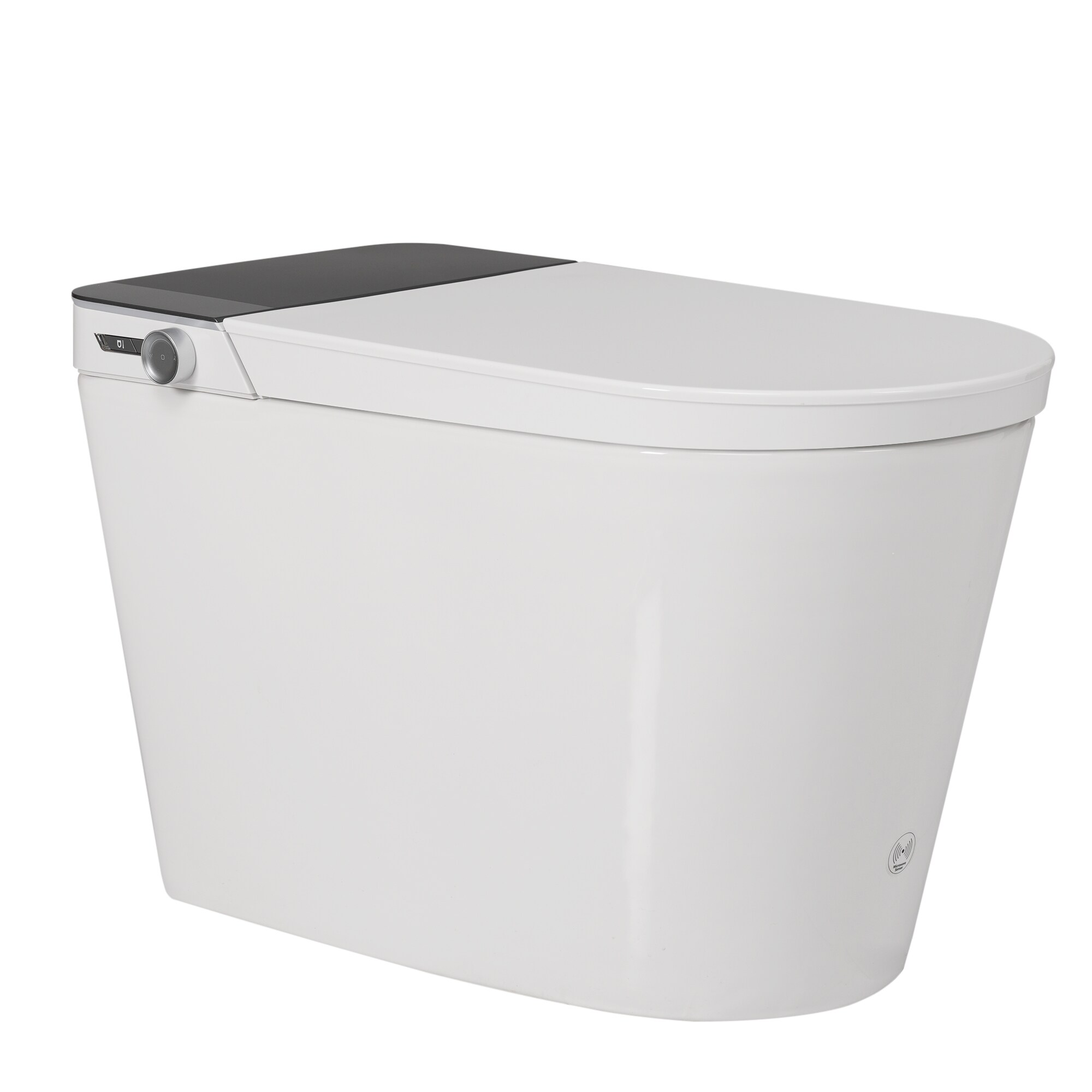 AAZJ JDZ-P256132G toilets - View #2