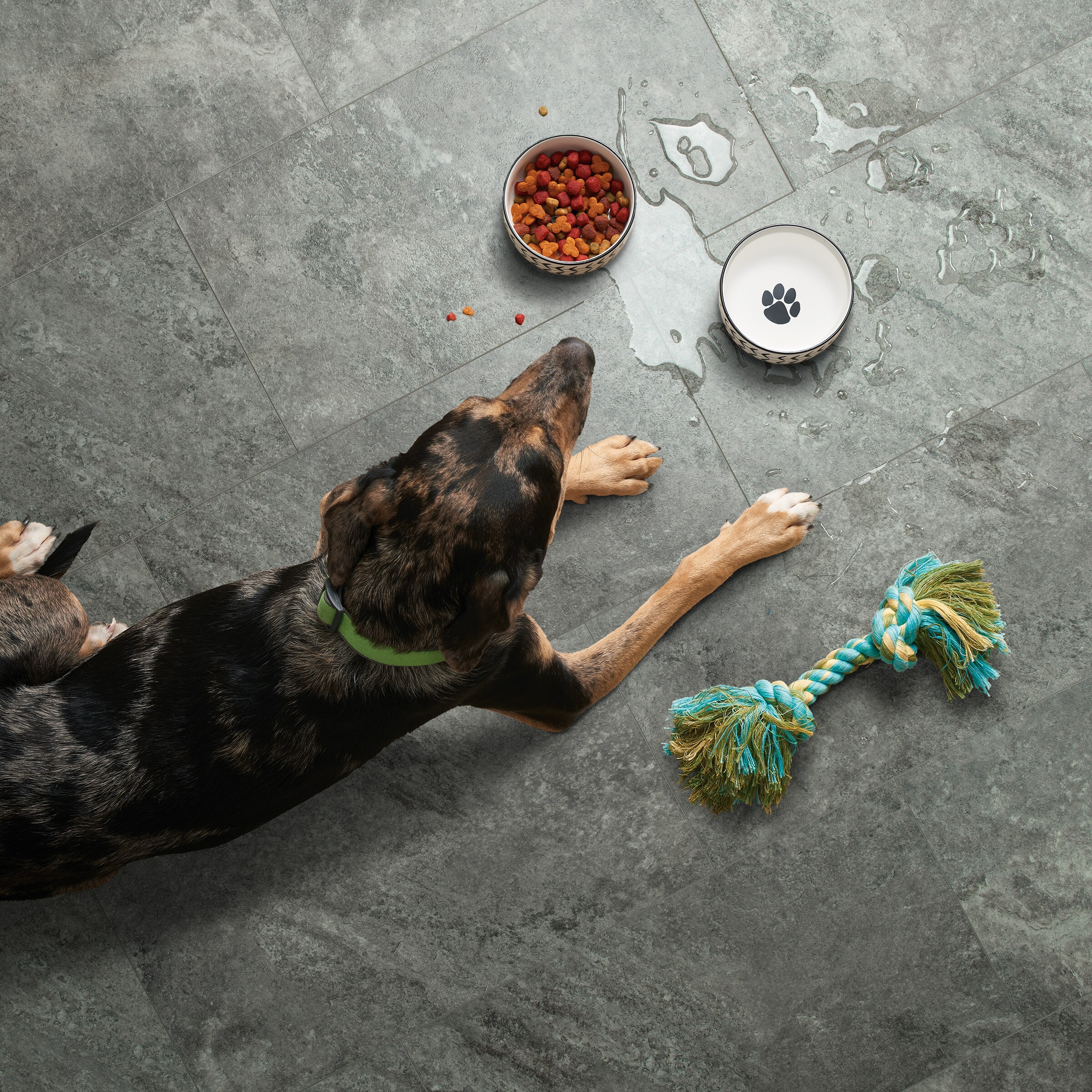 Kentucky Dogwear Dog Bowl Marble Black