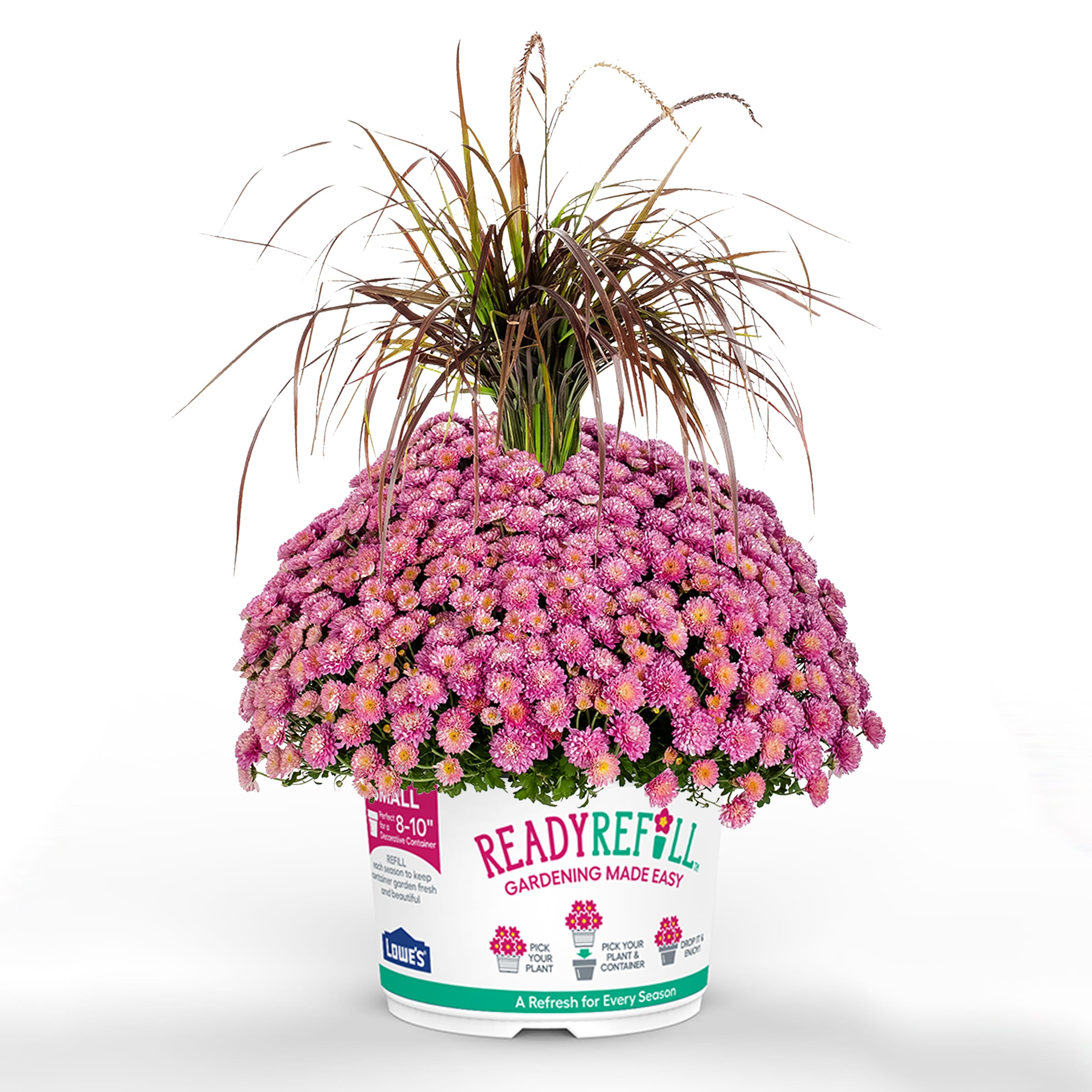 Ready Refill NURSERY Pink Mum in 2.5-Gallon Pot