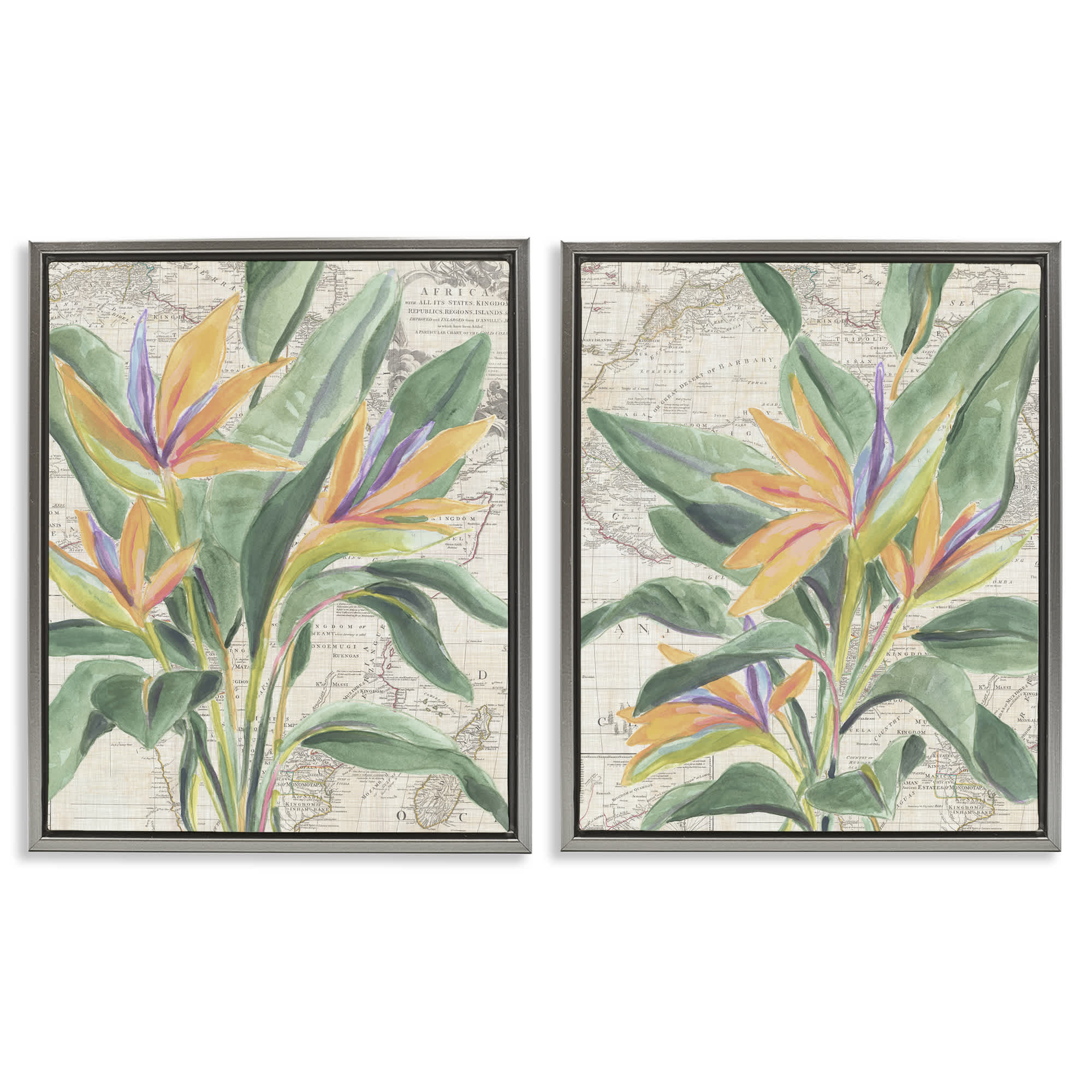 Stupell Industries B2-771-FFL-2PC-24X30 Flowers over Vintage Map 2pc Floating Frame Set design by June Erica Vess