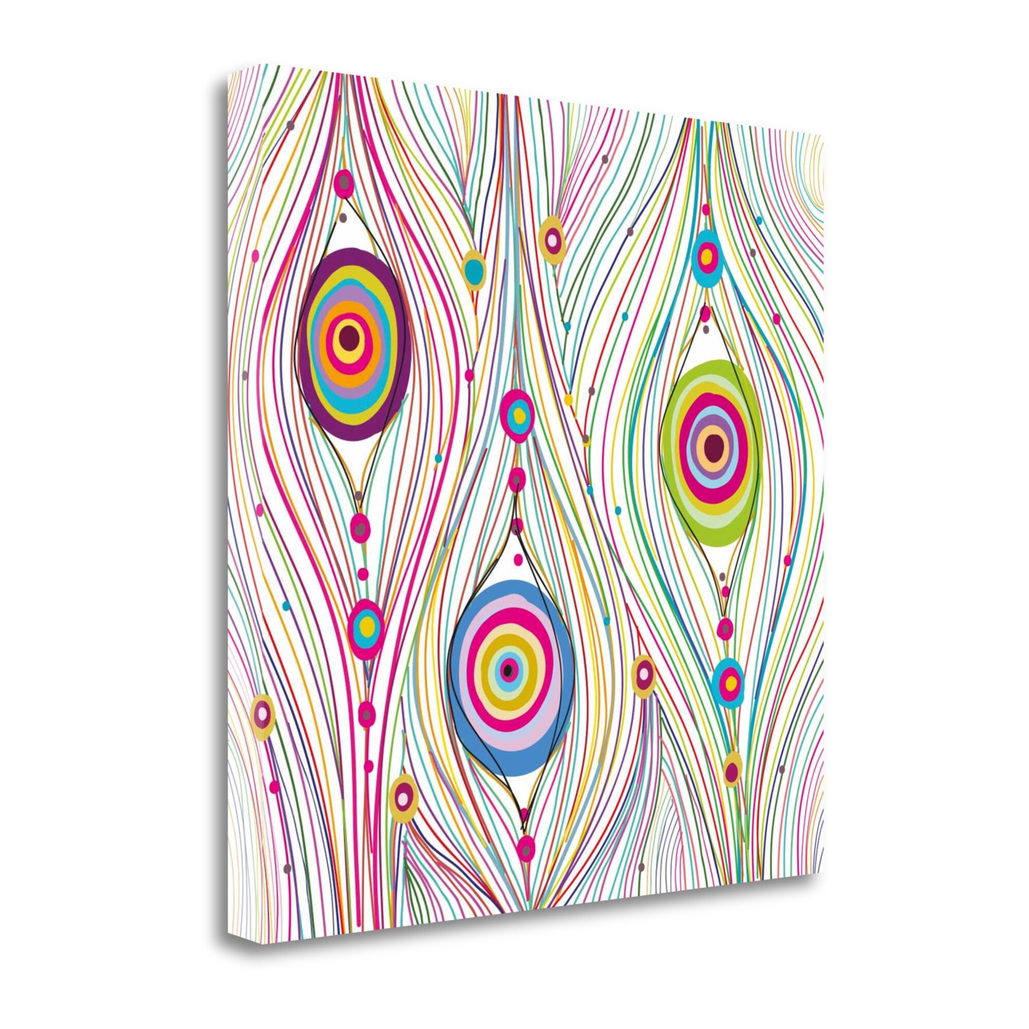 Tangletown Fine Art ICG720D-2525C Peacock Feathers Graphinc Studio 25-in H x 25-in W Abstract Print on Canvas