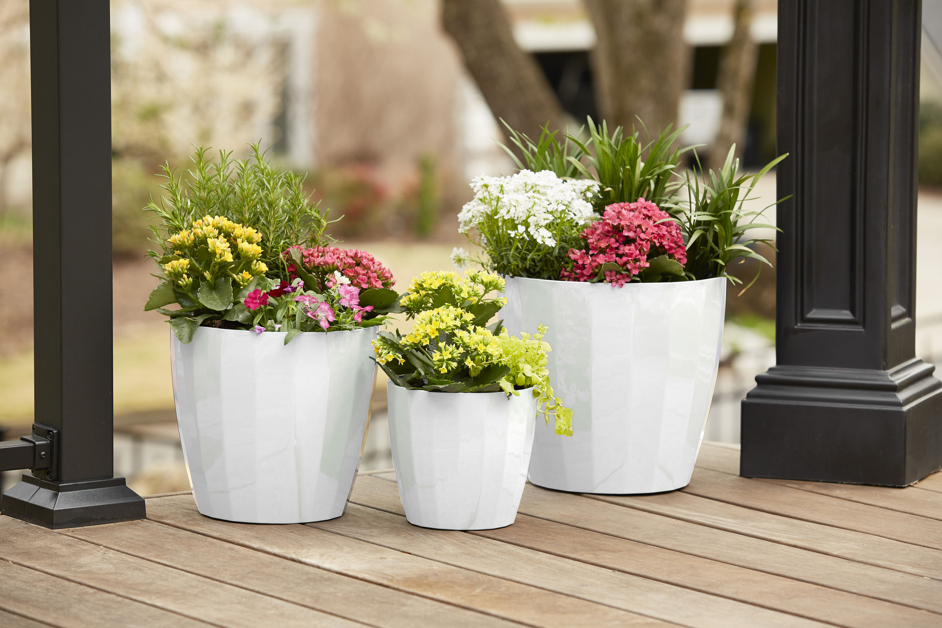 Ready Refill HDR-093824 Planter-Window-Box - View #10