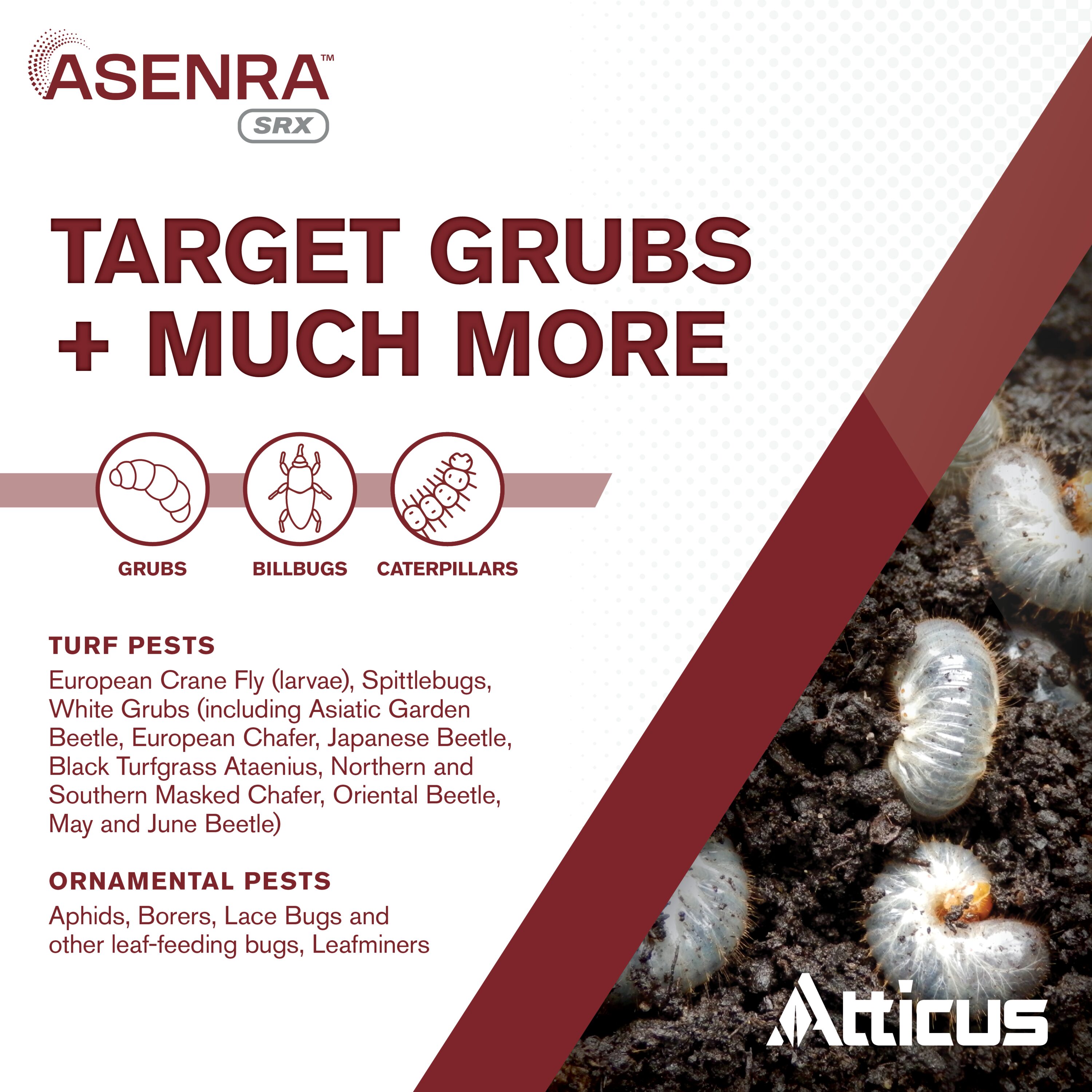 Atticus 530280-01 pesticides - View #2