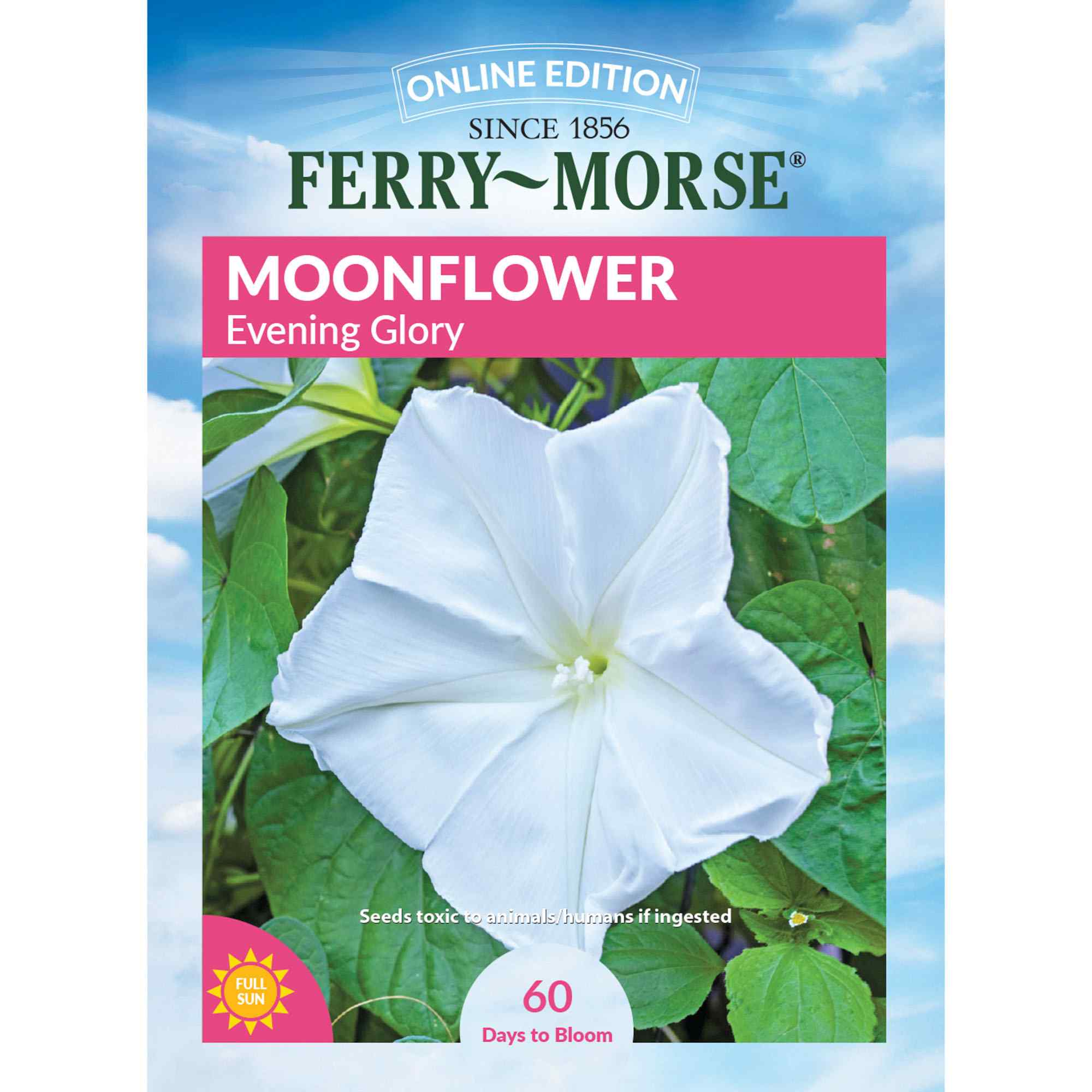 Ferry-Morse LC25.6071 Moonflower Seeds 2.6 Gram(s)