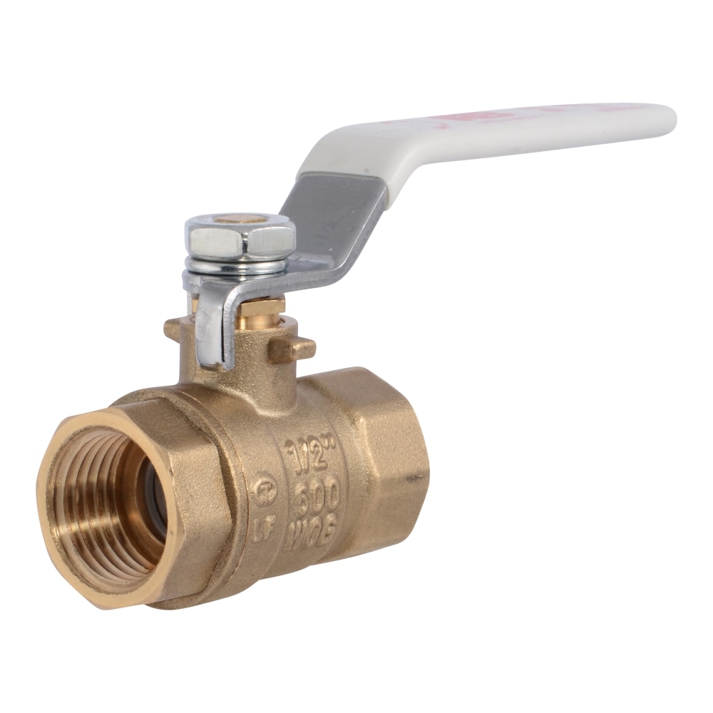 Ball Valves Inlet Thread Type FNPT