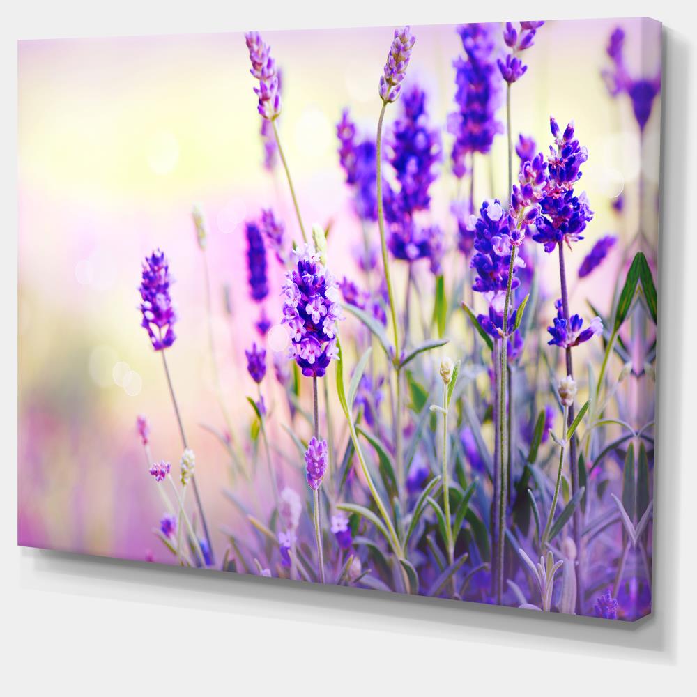 Designart 30-in H x 40-in W Landscape Print on Canvas in the Wall Art  department at
