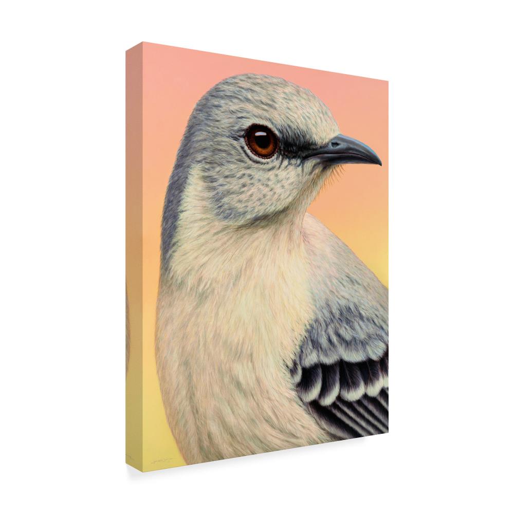 Trademark Fine Art ALI36370-C2432GG Wall-Art - View #2