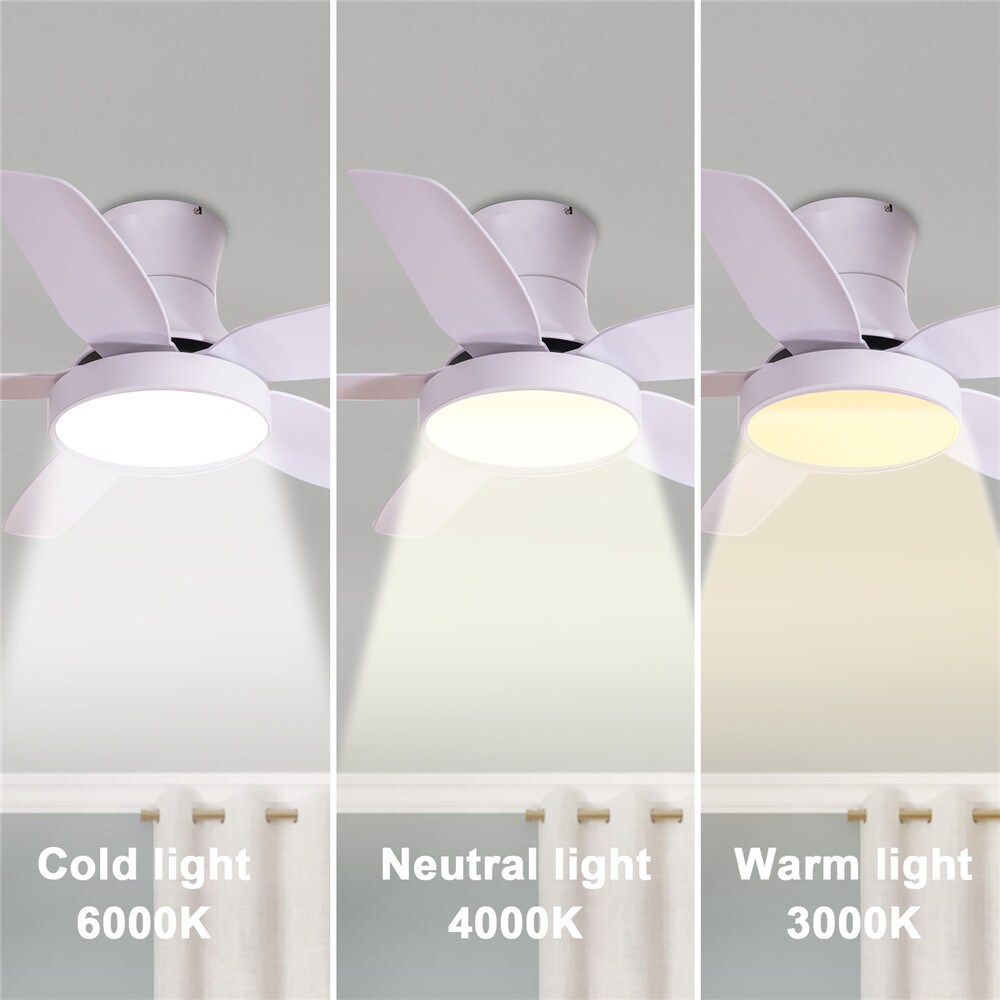 Yardreeze LWDO0503 Ceiling-Fans - View #4
