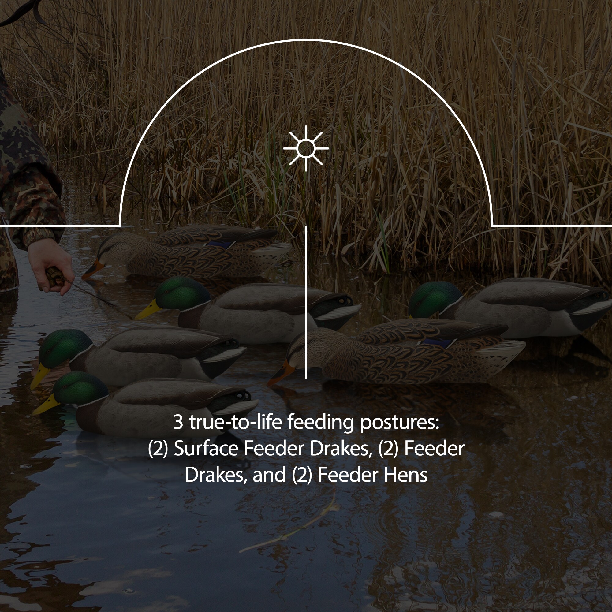  Avian X 399262 Hunting-Equipment - View #4