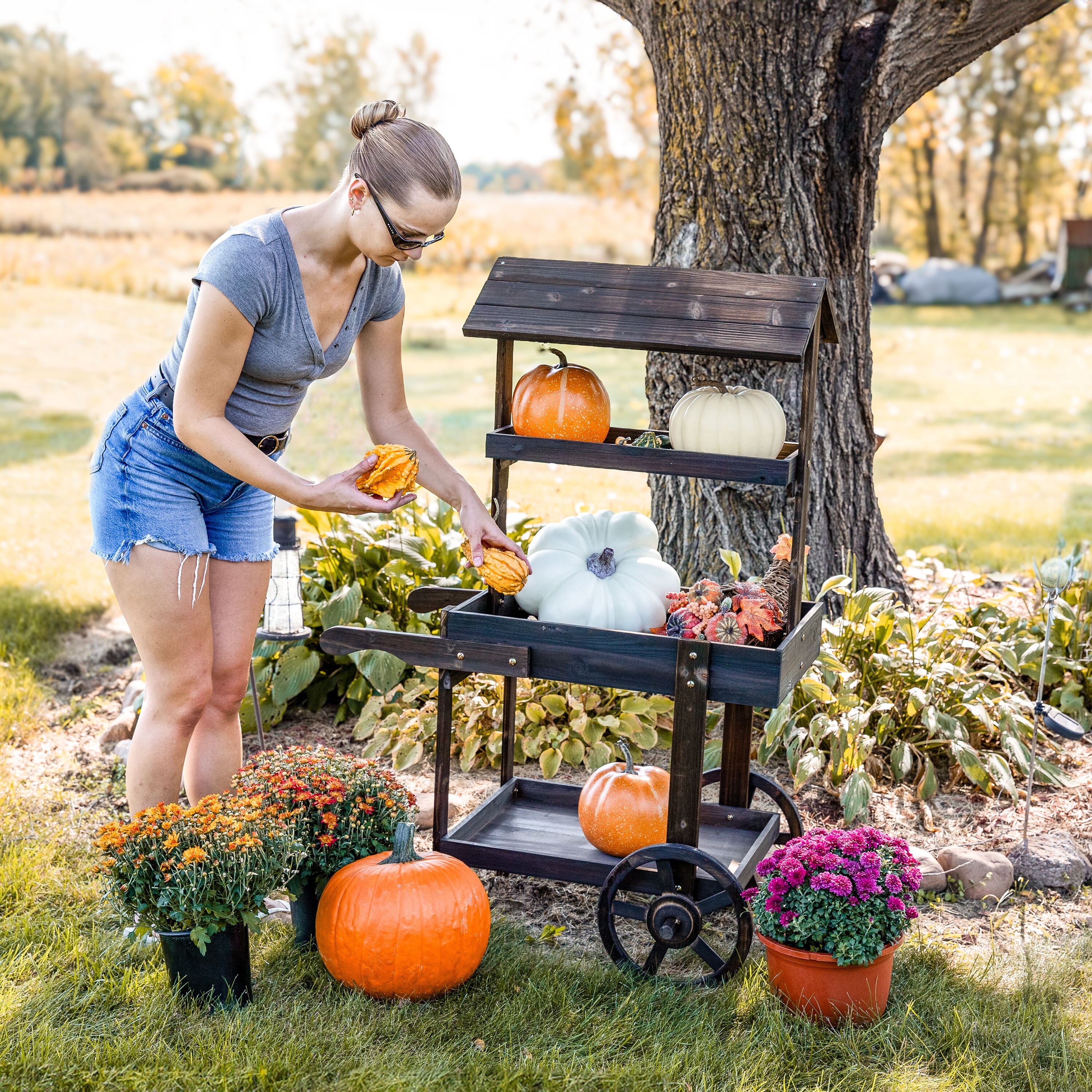 Sunnydaze Decor IEO-8271 Raised-Planter-Boxes - View #10