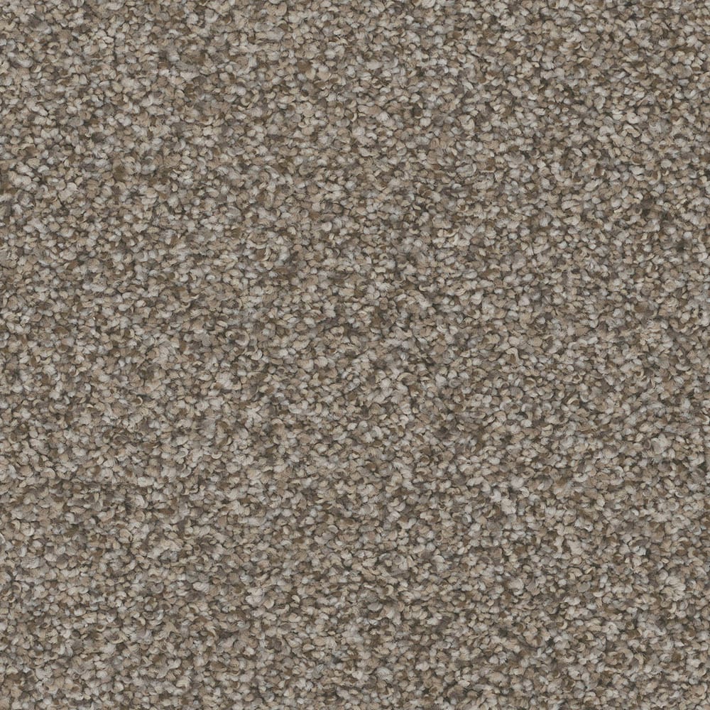 STAINMASTER PetProtect S9055-965-S (Sample) Piedmont Boulevard Multi-Colored 55-oz sq yard Nylon Textured Indoor Carpet