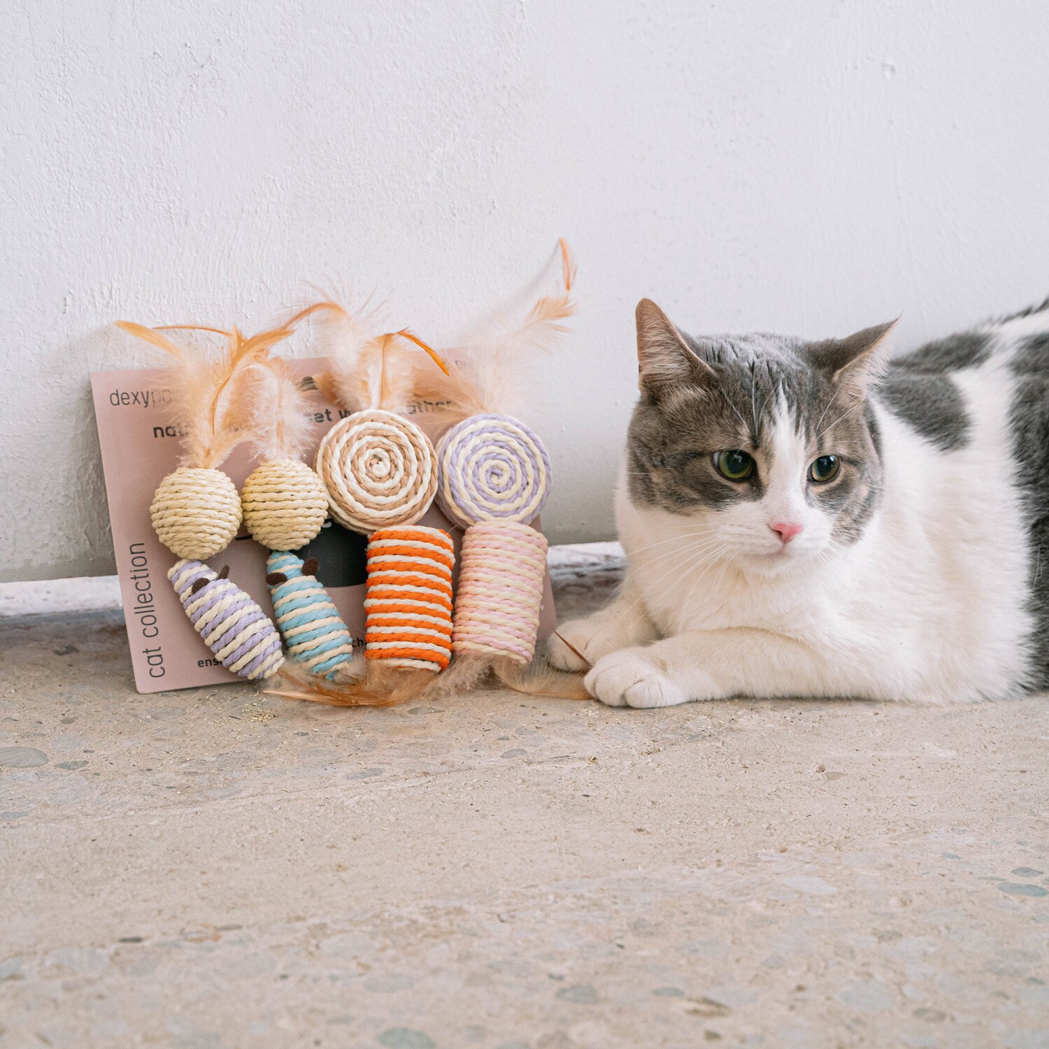 Dexypaws G0871789002772 Dog-Toys - View #2