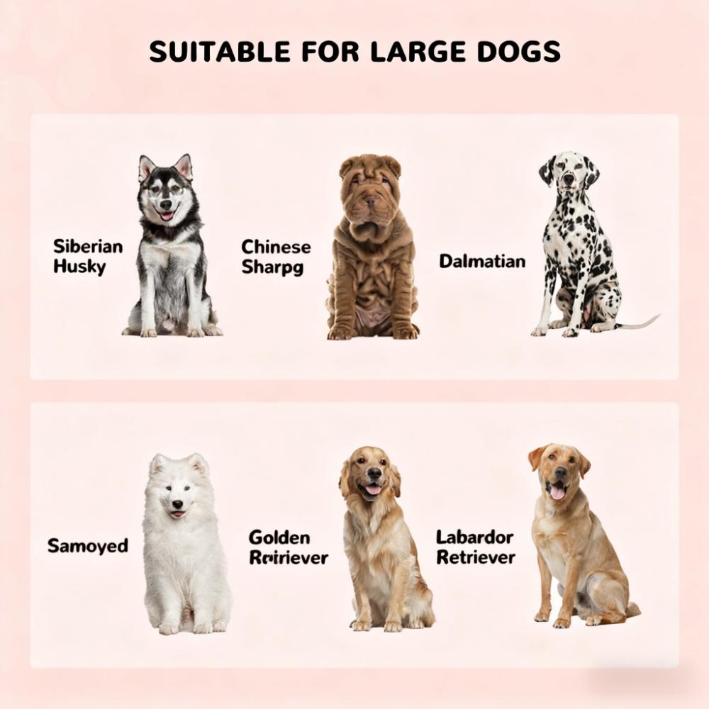 LUXEYARD DS-Y-YC-2620 Pet-Beds - View #3