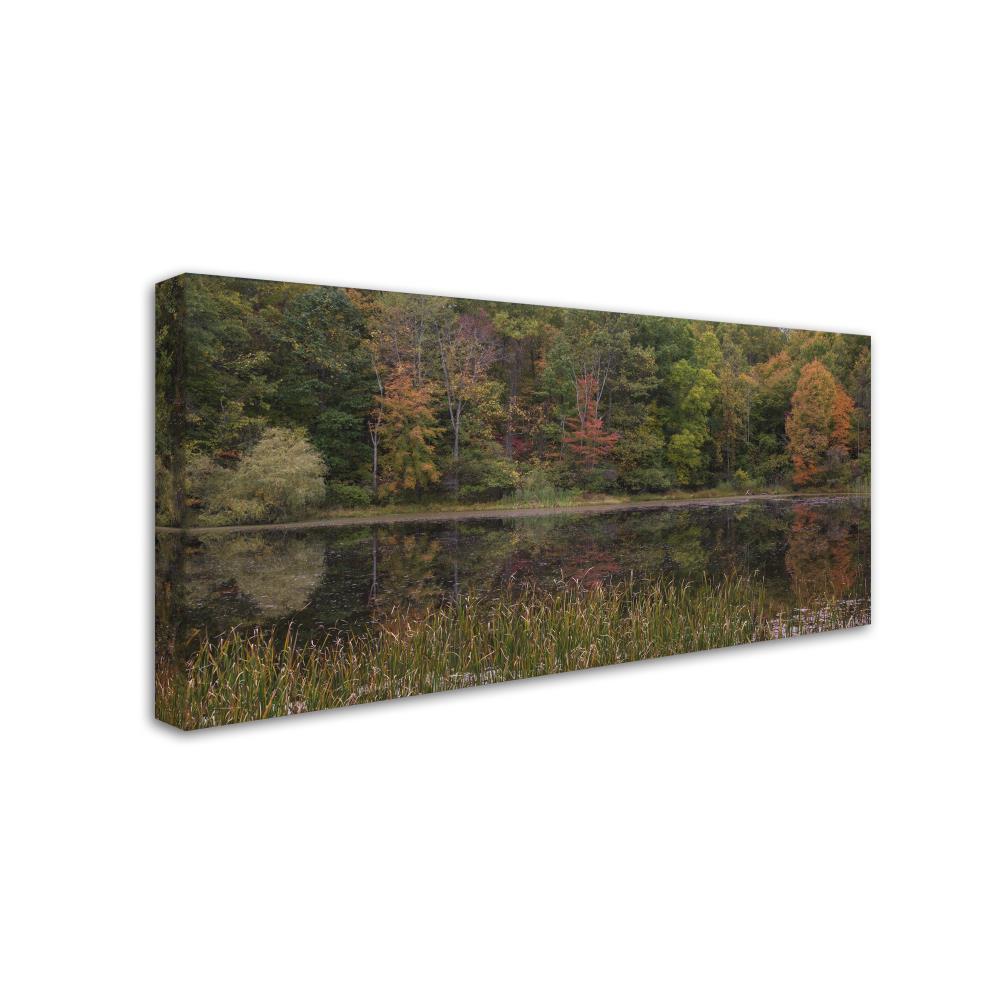 Trademark Fine Art KS01135-C1224GG Wall-Art - View #2