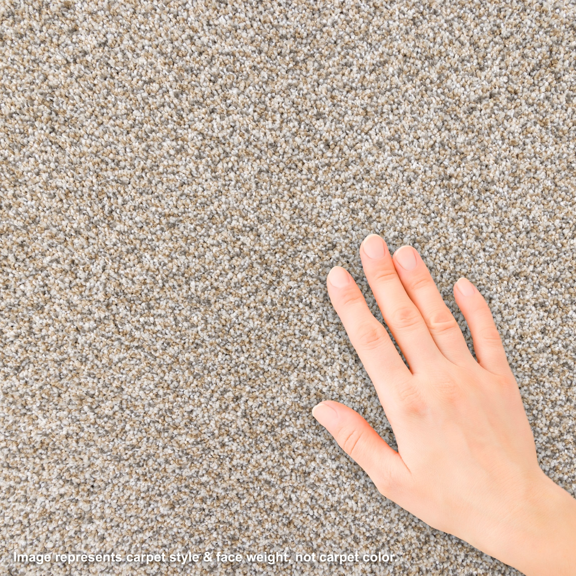 STAINMASTER L3008-709-1200-AB Carpet-Panel - View #4