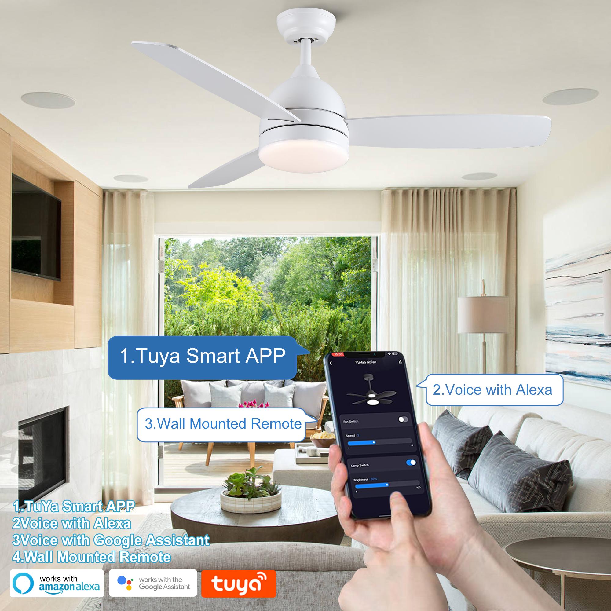 Bayfeve BFYH-82811-CF Ceiling-Fans - View #12