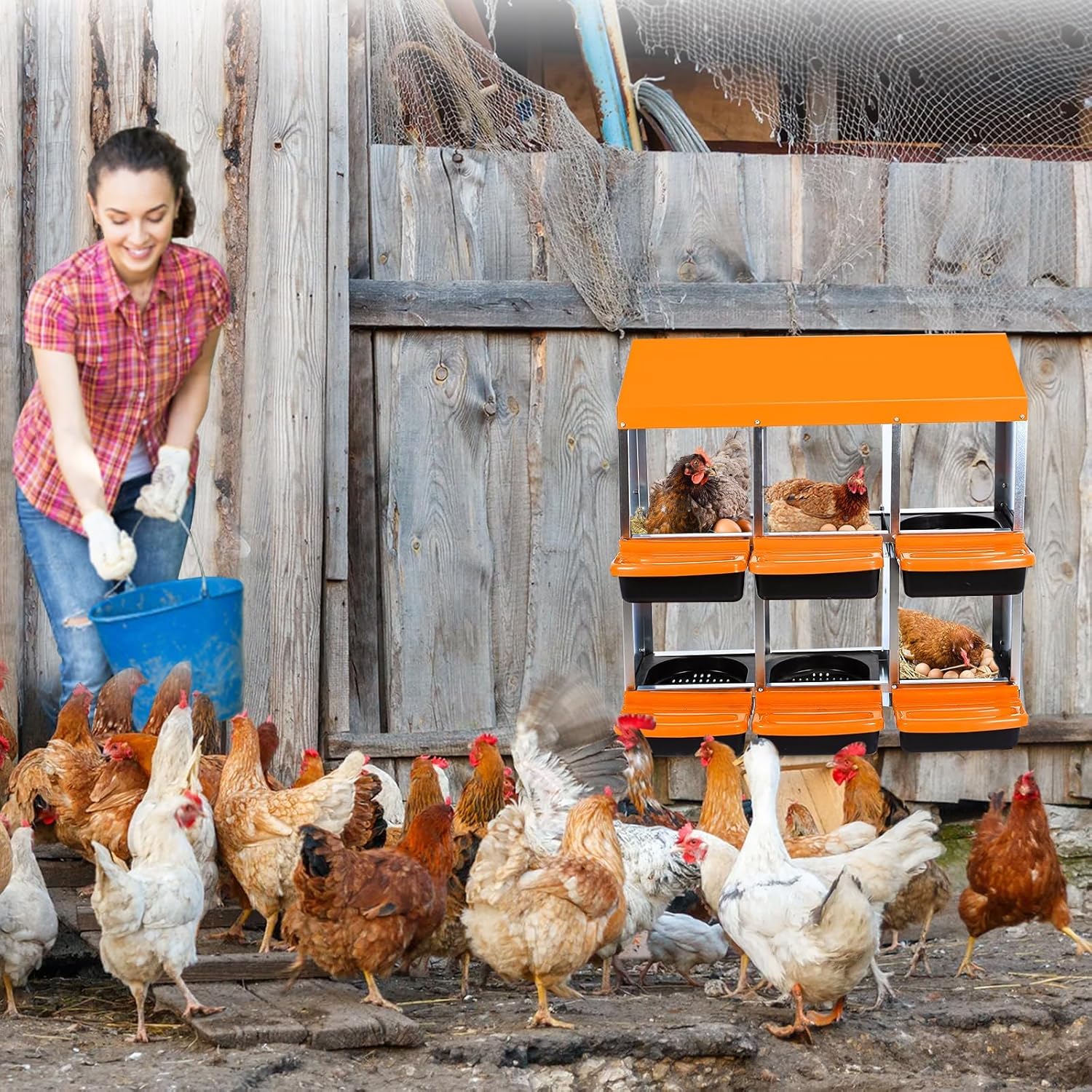 Qeetex GGL-PPG-33CXNYGP 6-Hole Orange Chicken Nesting Box Roll-Away Egg Collection System with Ventilation Holes  Rustproof Plastic Tray Keyhole Mounting  Chicken Laying Box for Hen or Duck