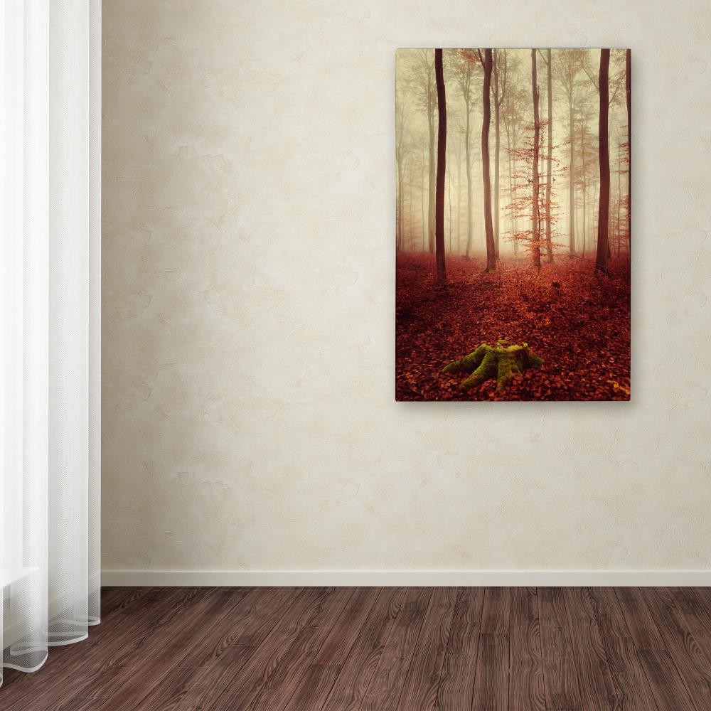 Trademark Fine Art PSL0436-C1624GG Wall-Art - View #3