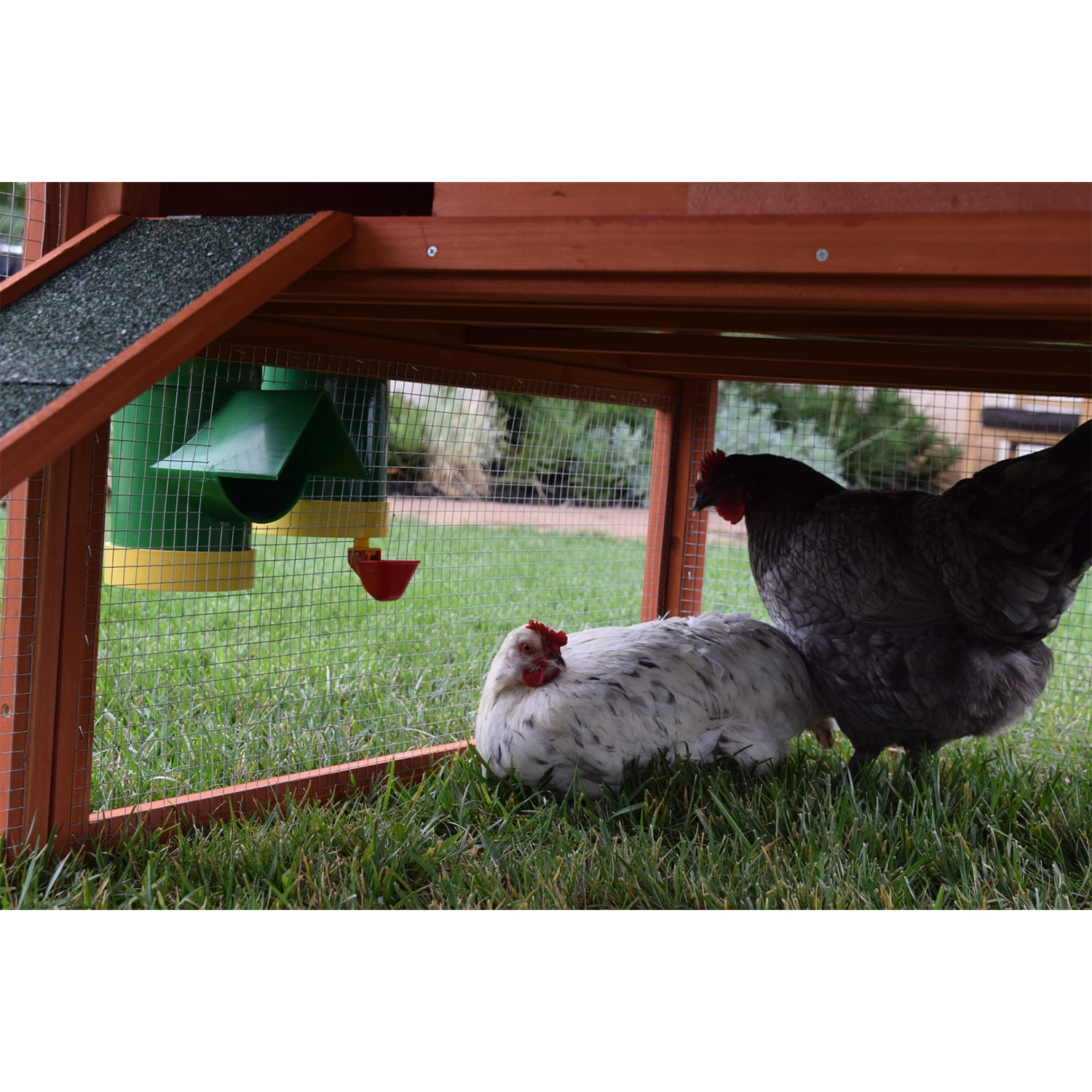 Rugged Ranch 224987 Pet-Feeder - View #4