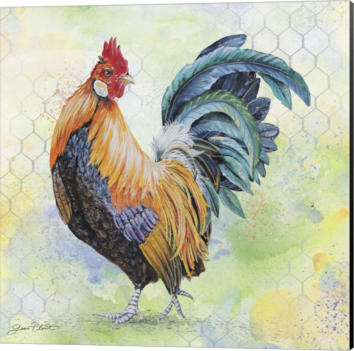Metaverse Corporation Watercolor Rooster- A, B, C and D Jean Plout 14-in H  x 14-in W Animals Print on Canvas at