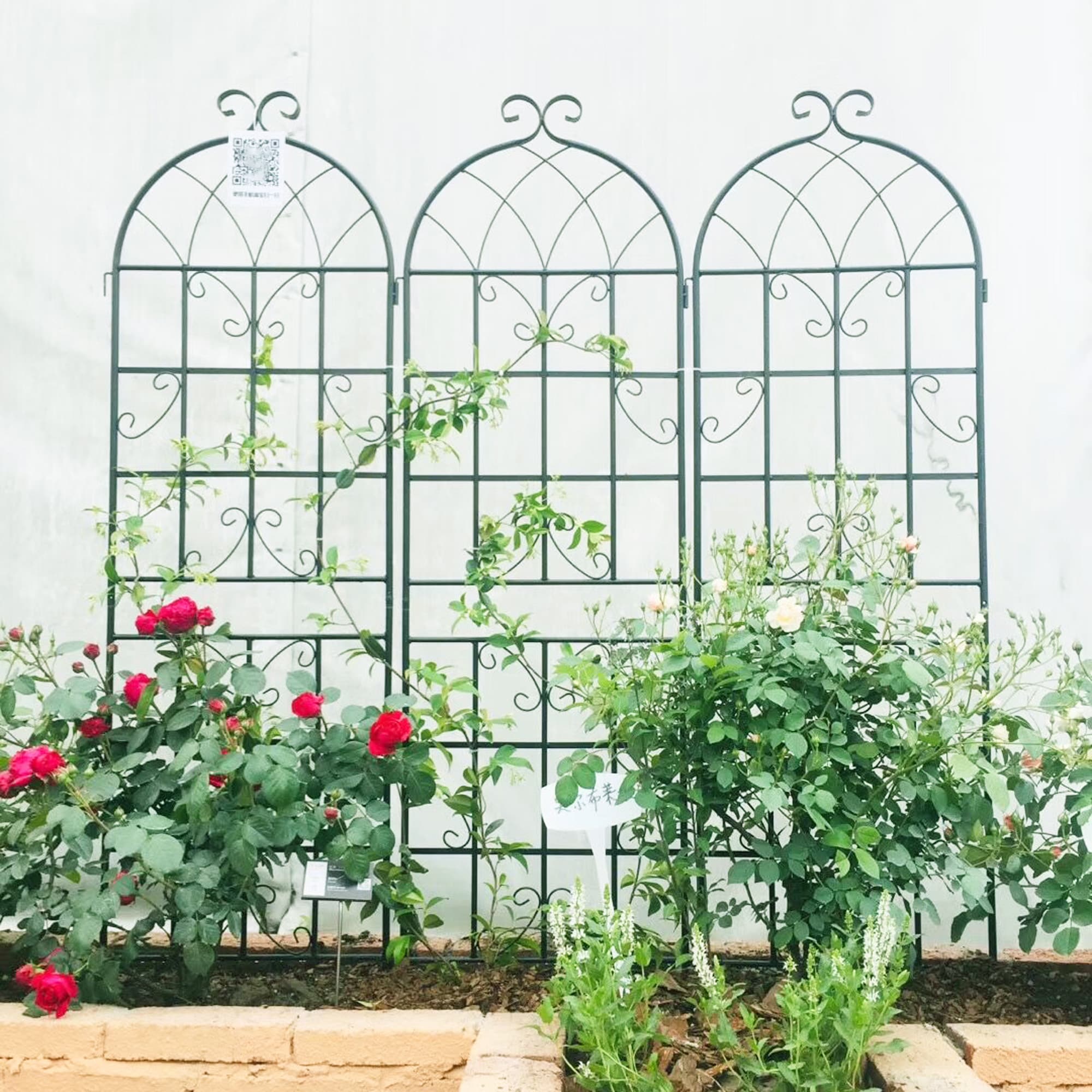 Oizaye ZWG-04494 Garden-Trellis - View #8