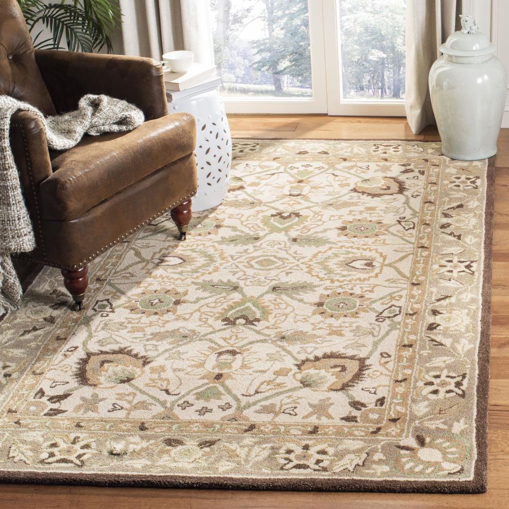 Safavieh AN512D-5 rugs - View #2