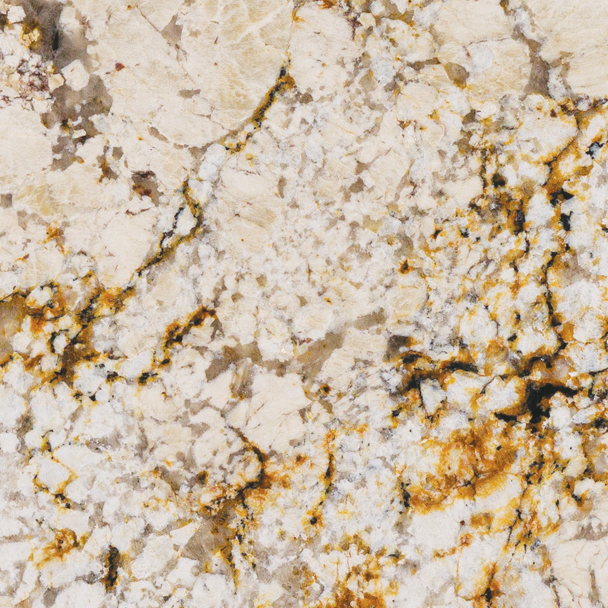 ONE Natural Stone G540SLAB11/41L Rustique Blanc Rustique Blanc Granite Multiple colors/finishes Kitchen Countertop SAMPLE ( 3-in x 3-in )