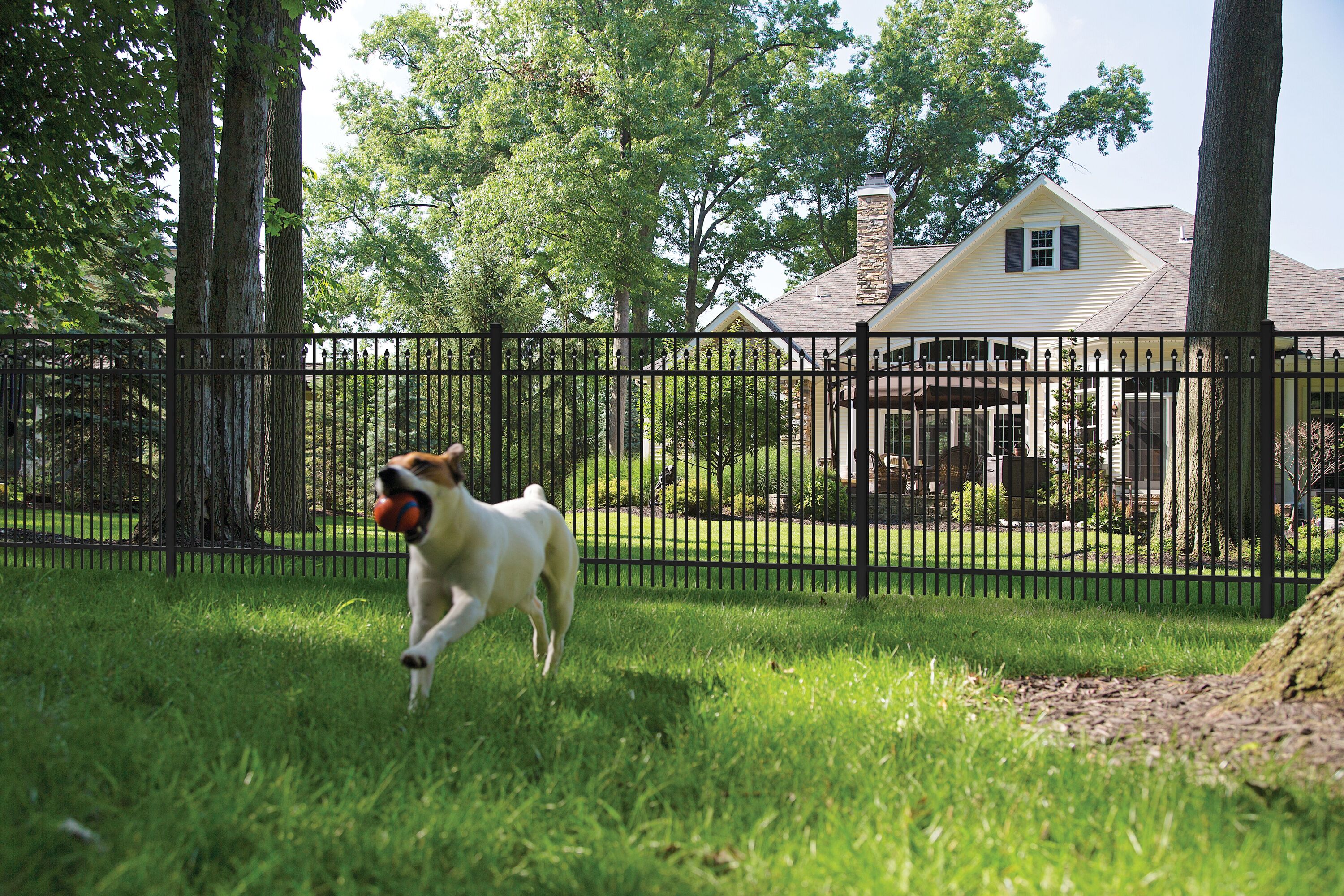 Shop Freedom Freedom 4x6 York Aluminum Fence at