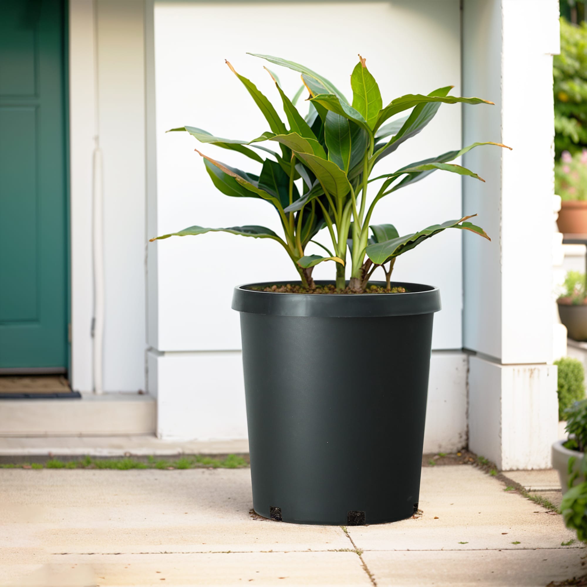 Style Selections MLH0713PKH Planter-Window-Box - View #2