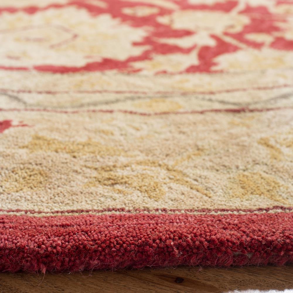Safavieh AN522A-6R rugs - View #3