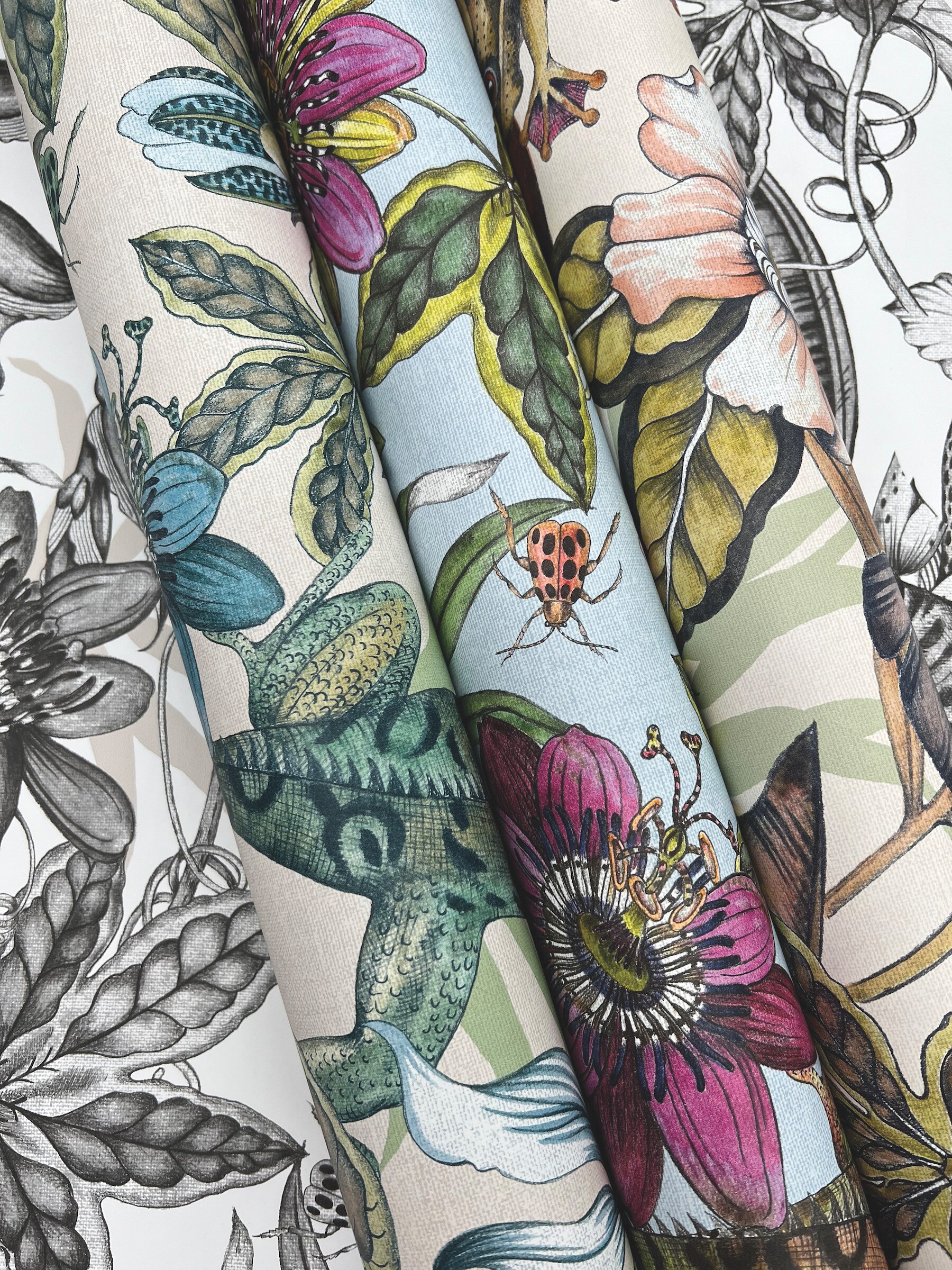 York Wallcoverings BL1701 Multicolor Rainforest Wallpaper