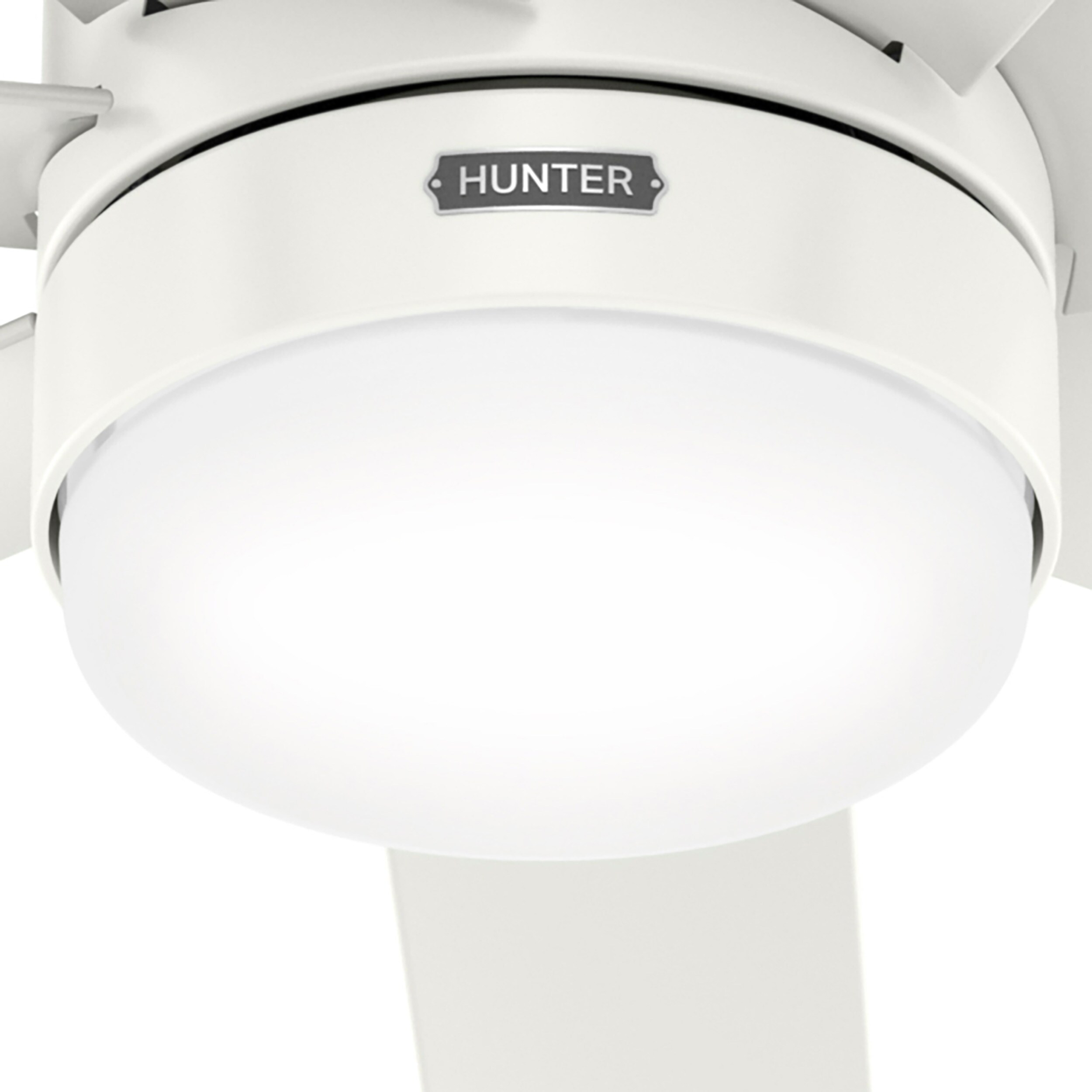 Hunter 52375 Ceiling-Fans - View #13