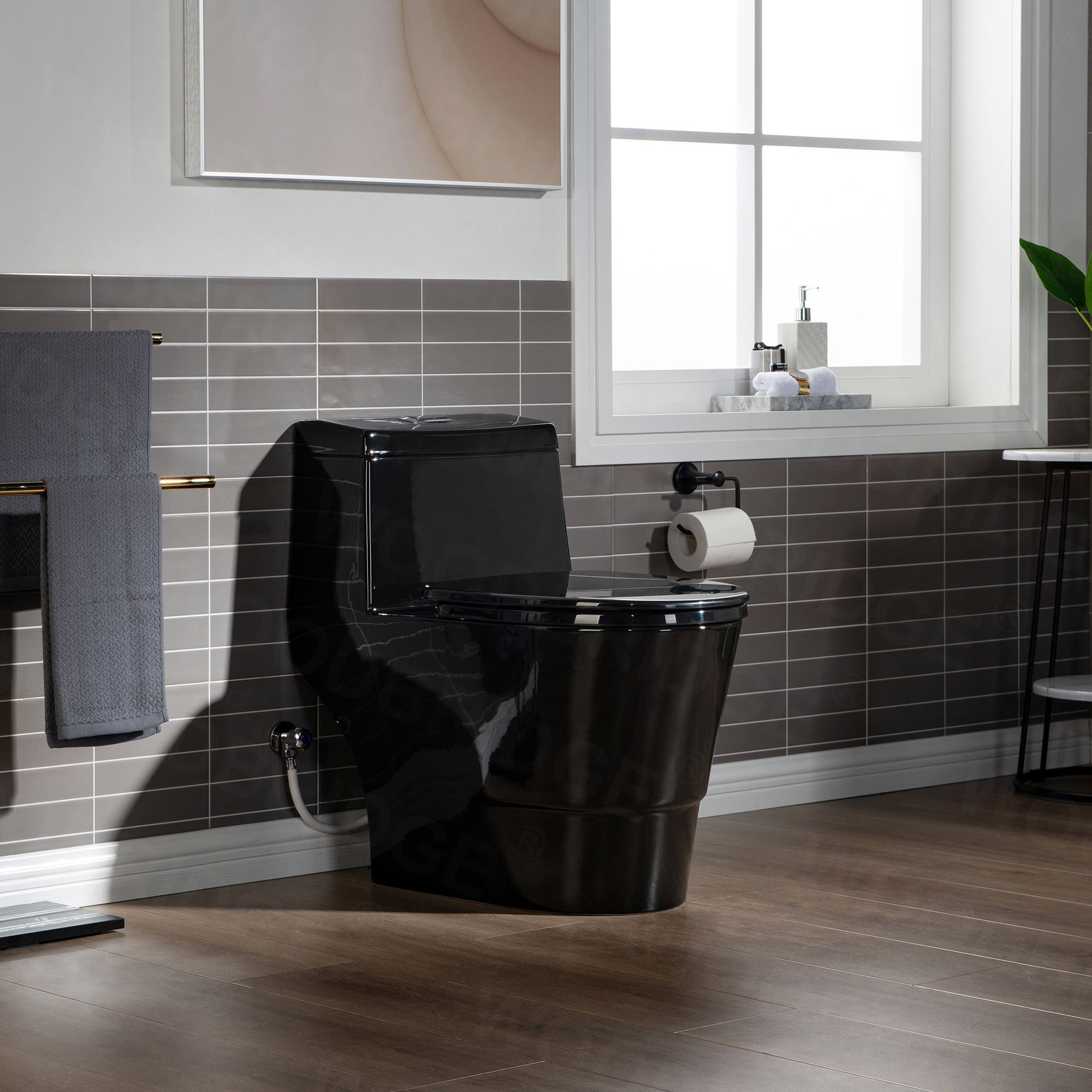 Matte black dual-flush one-piece toilet with elongated bowl LUDO