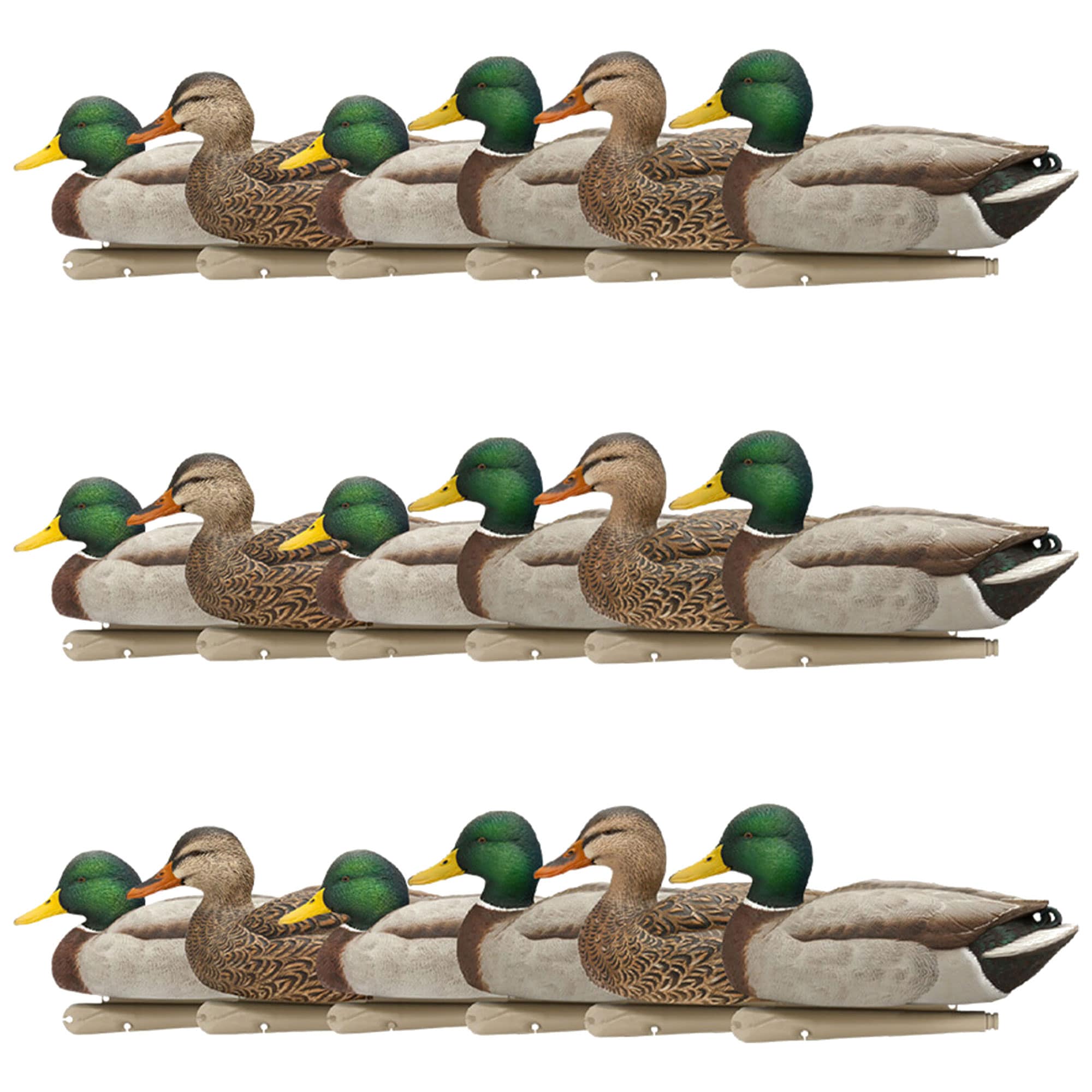  Avian X 408573 18.3 x 16.2 x 12.9 Inche(s) Decoy 18 -Pack