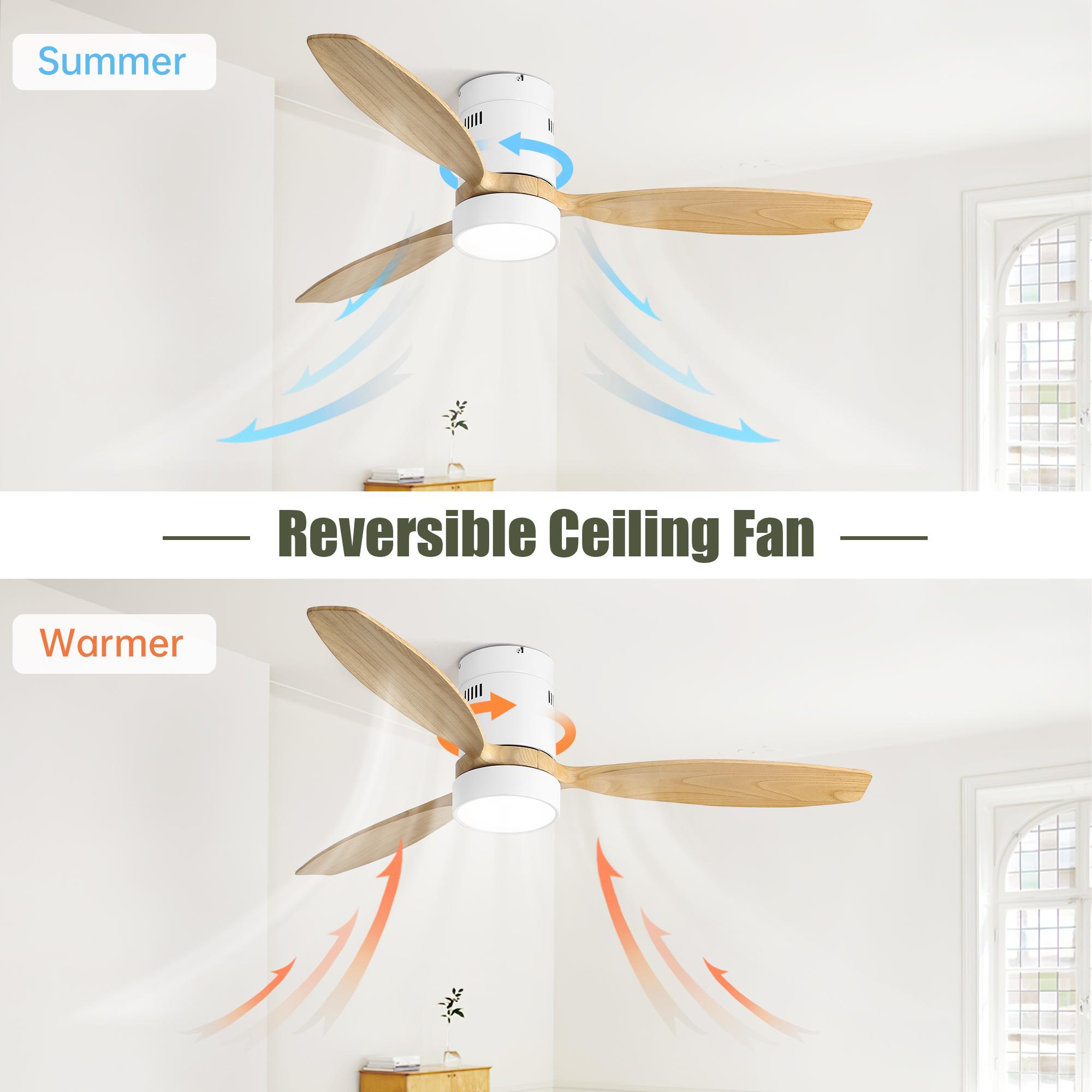 Bayfeve BFKS-46081-CF Ceiling-Fans - View #8