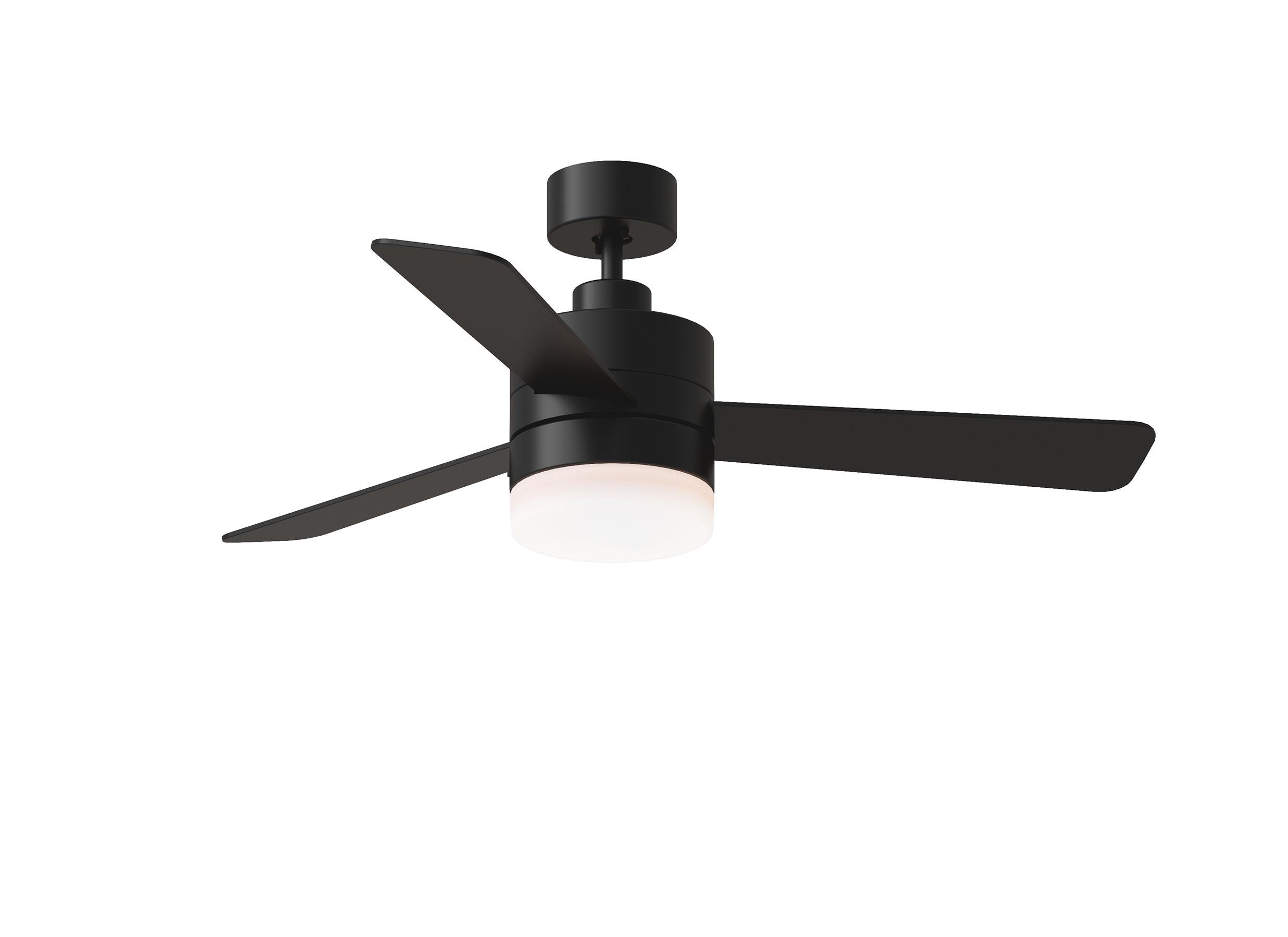 Era Black Ceiling Fans at