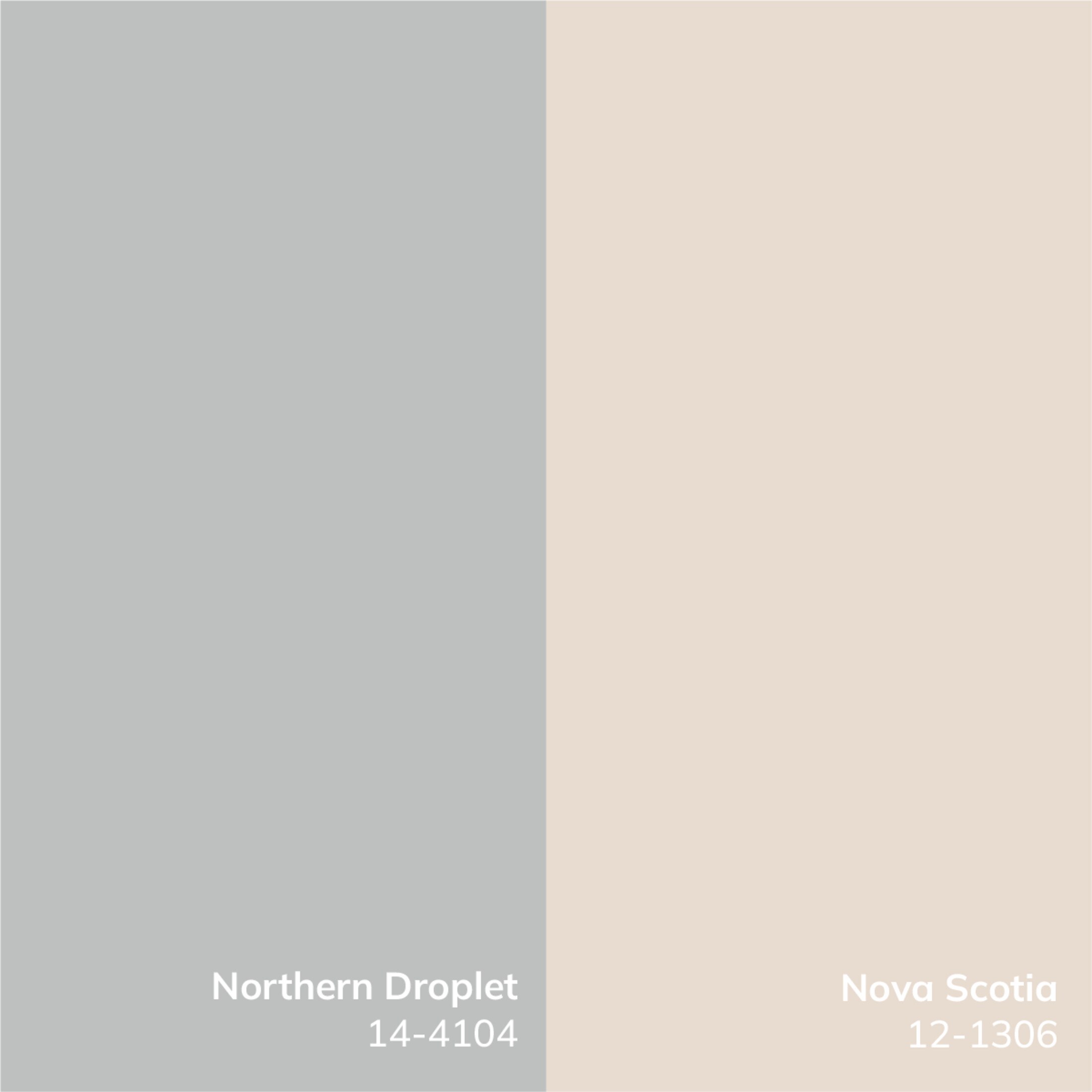 Livabliss NBMY2300-71010 rugs - View #3