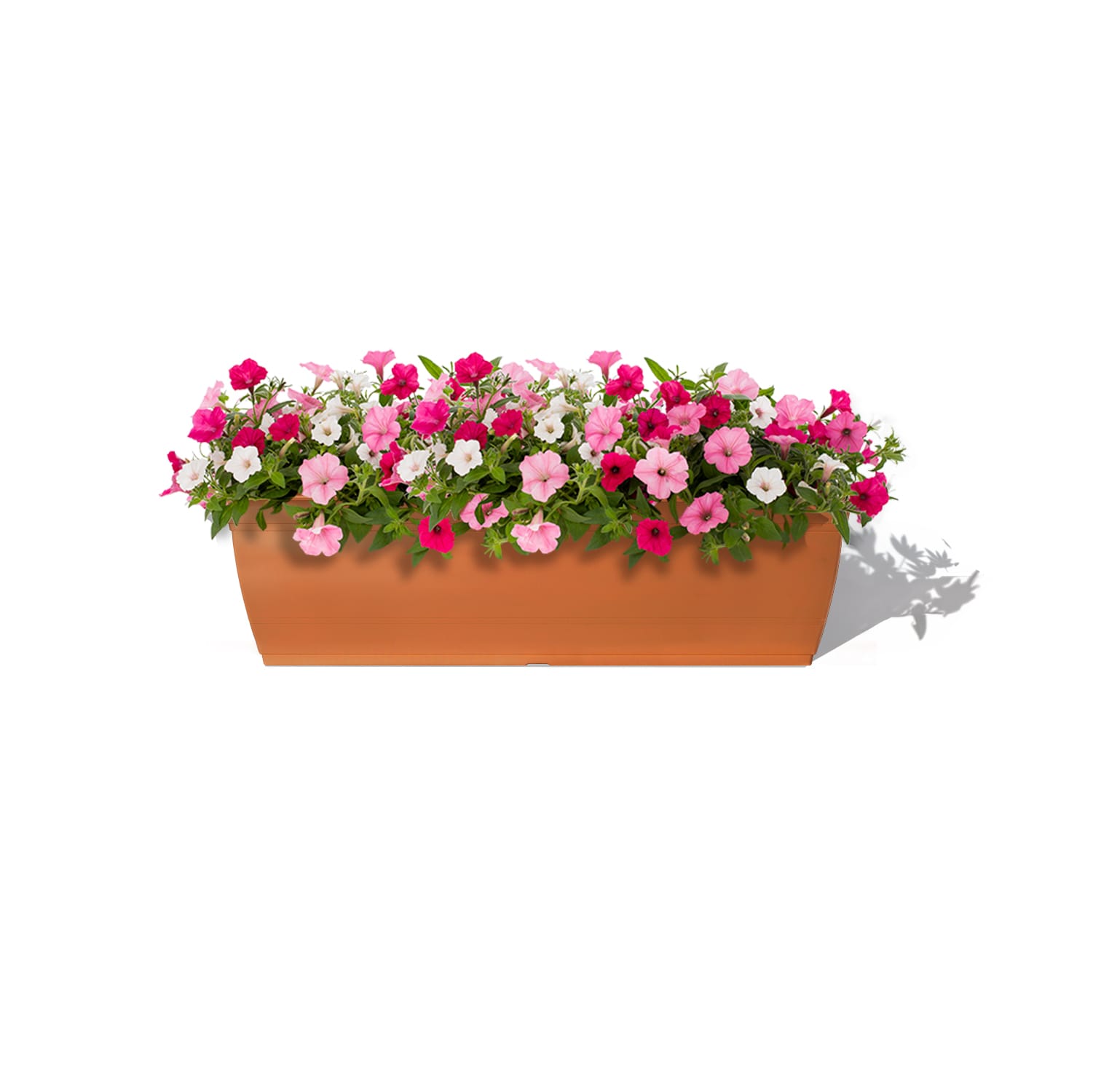 Style Selections WB2132G-CLAY Planter-Window-Box - View #2