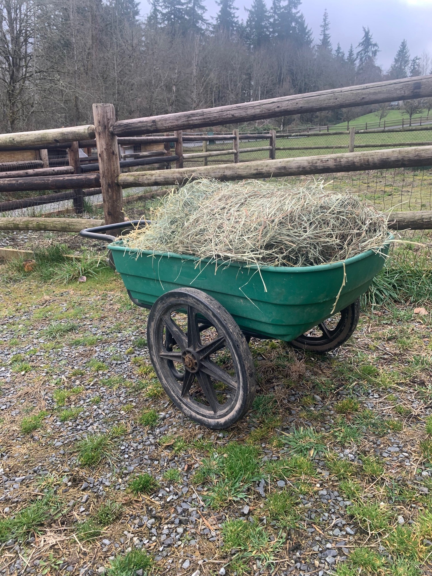 Garden Star 70281 Yard-Carts - View #3