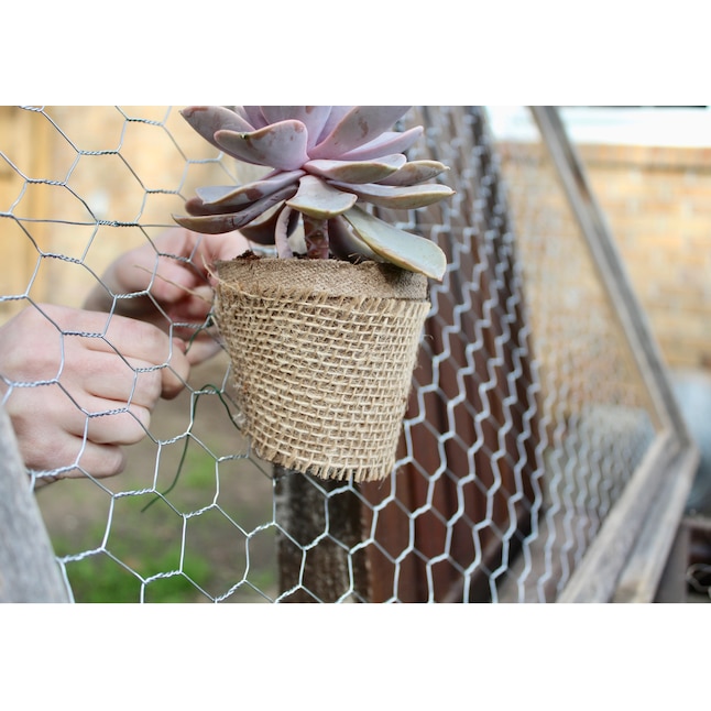 GARDEN CRAFT 25-ft x 4-ft Steel Chicken Wire Rolled Fencing with Mesh Size  1-in in the Rolled Fencing department at