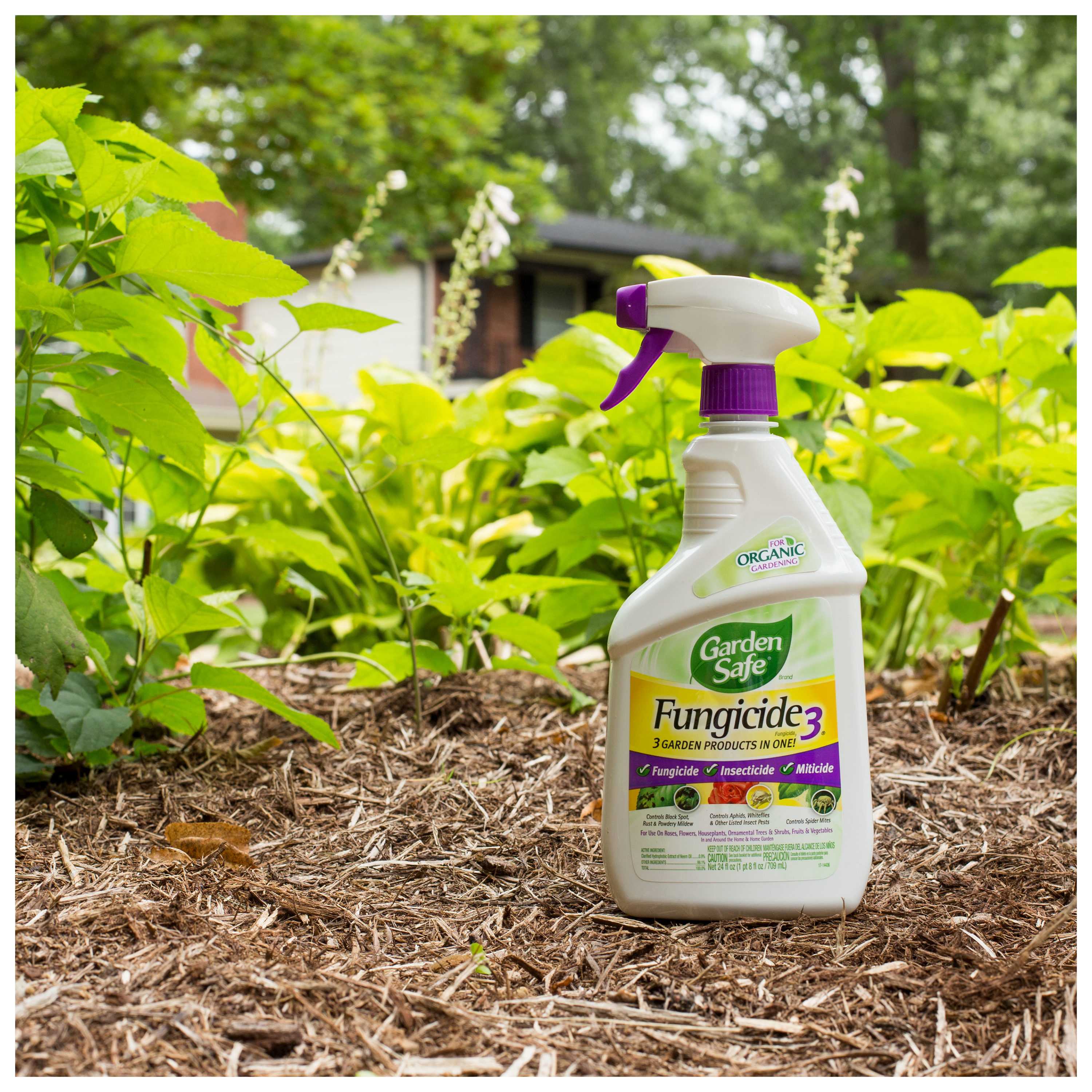 Safer® Brand - Organic Gardening & Pest Control Products