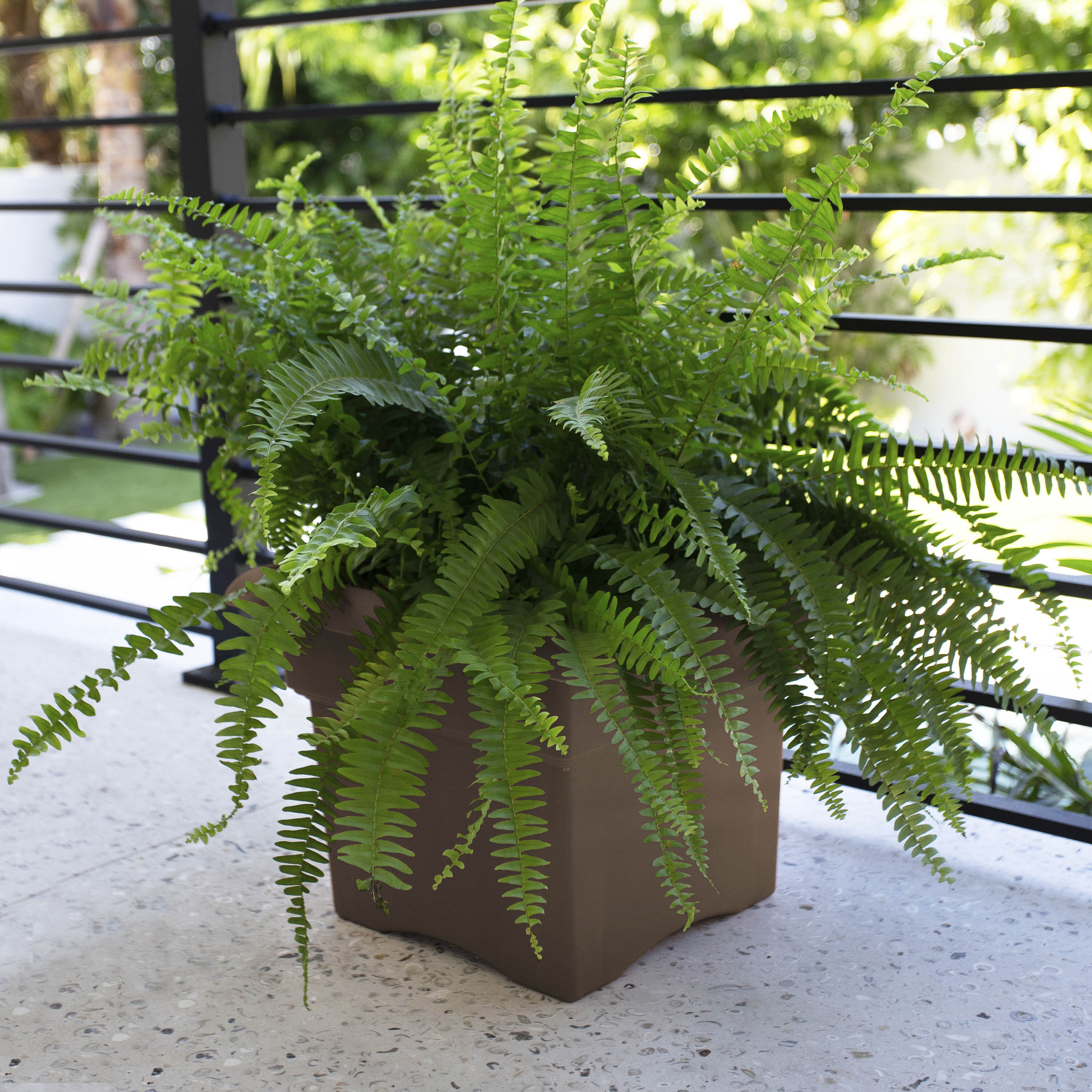 Bloem 457185-1001 Planter-Window-Box - View #2
