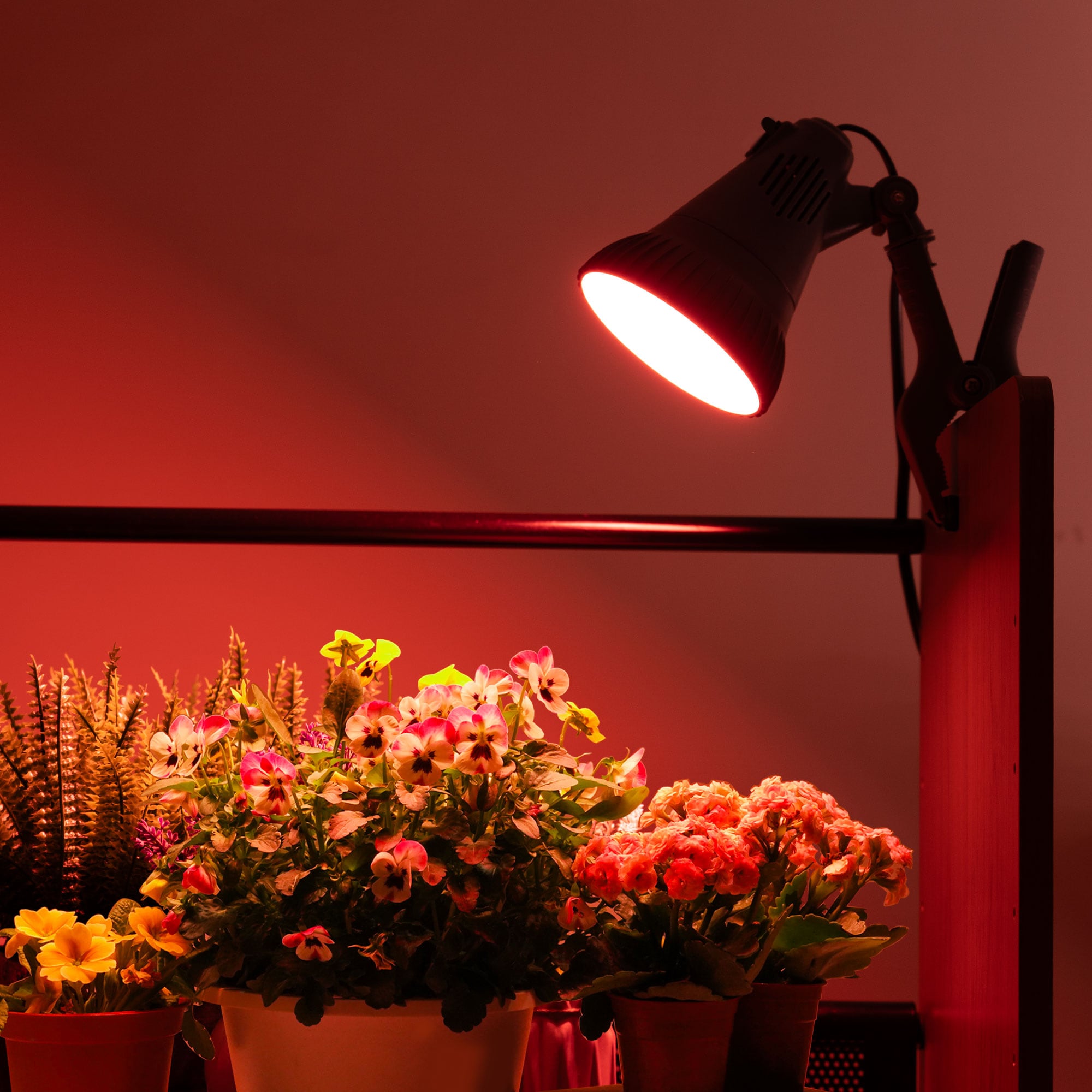 Utilitech Z-GRCLP-3S Grow-Lights - View #10