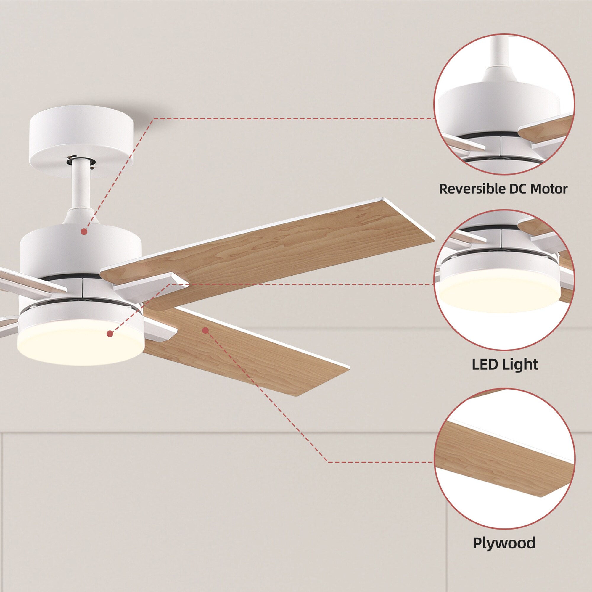Sunrinx MG65-2-FSD Ceiling-Fans - View #7