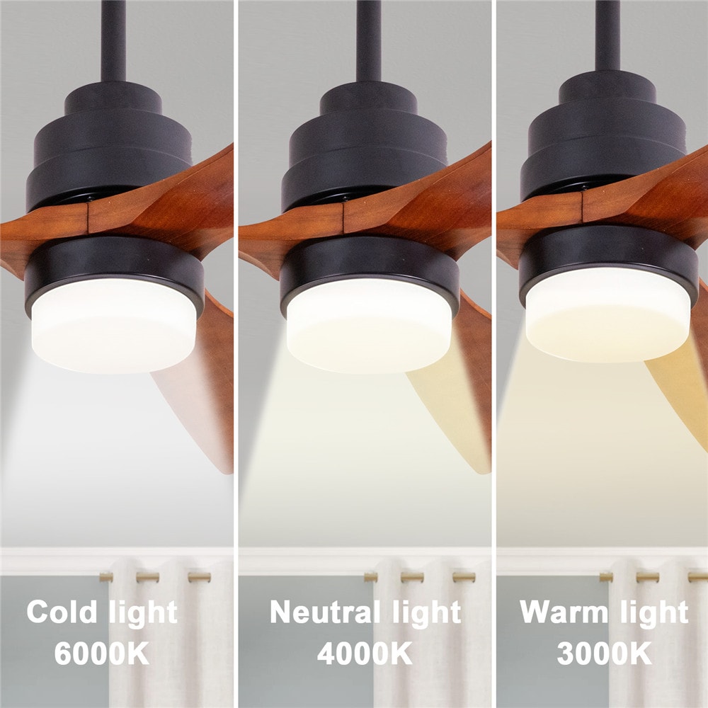 BANSA ROSE FF-M3601AC Ceiling-Fans - View #3