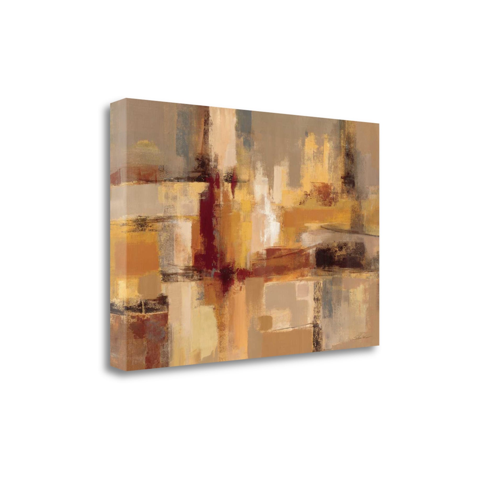Tangletown Fine Art WA611616-4832C Sandcastles Silvia Vassileva 32-in H x 47-in W Abstract Print on Canvas