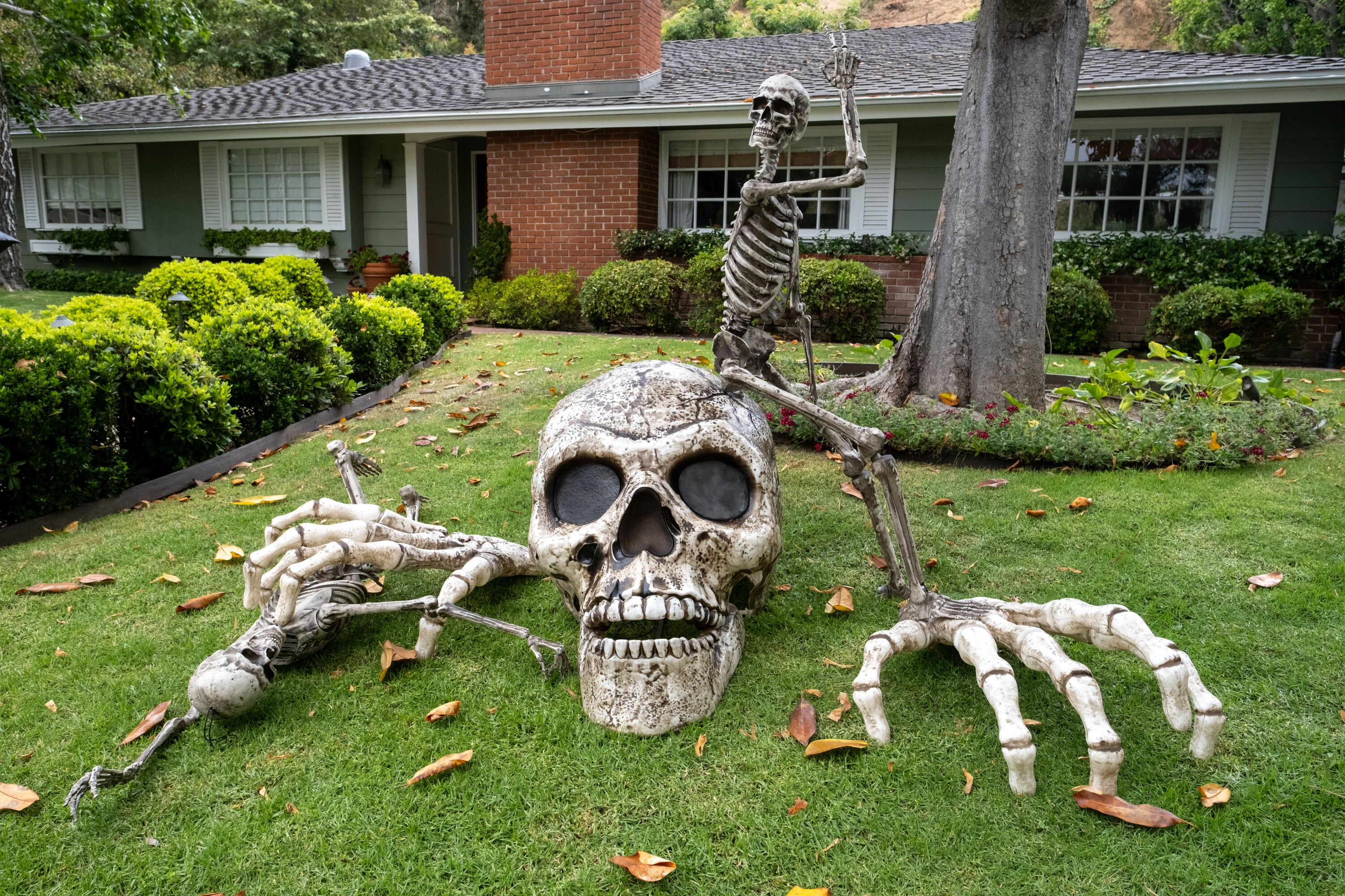 Haunted Living KL-37017 Outdoor-Halloween-Decor - View #14
