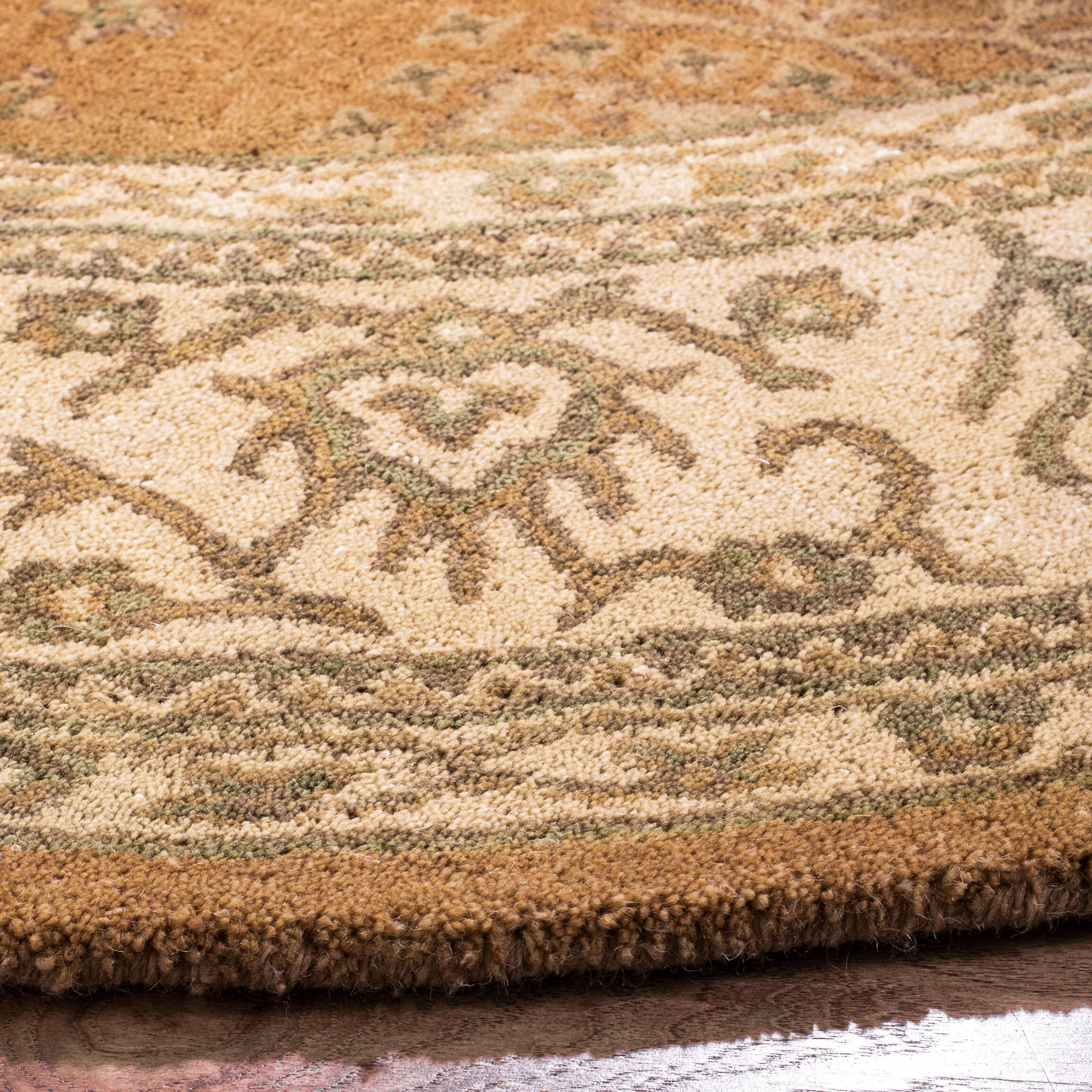 Safavieh BRG190A-6R rugs - View #3